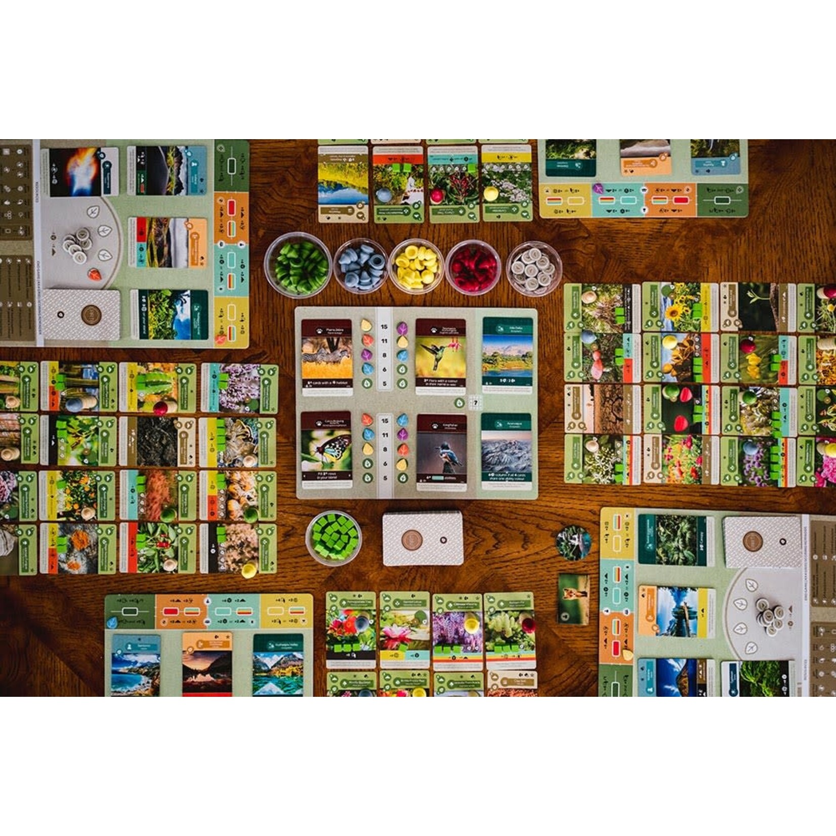 Inside Up Games Earth