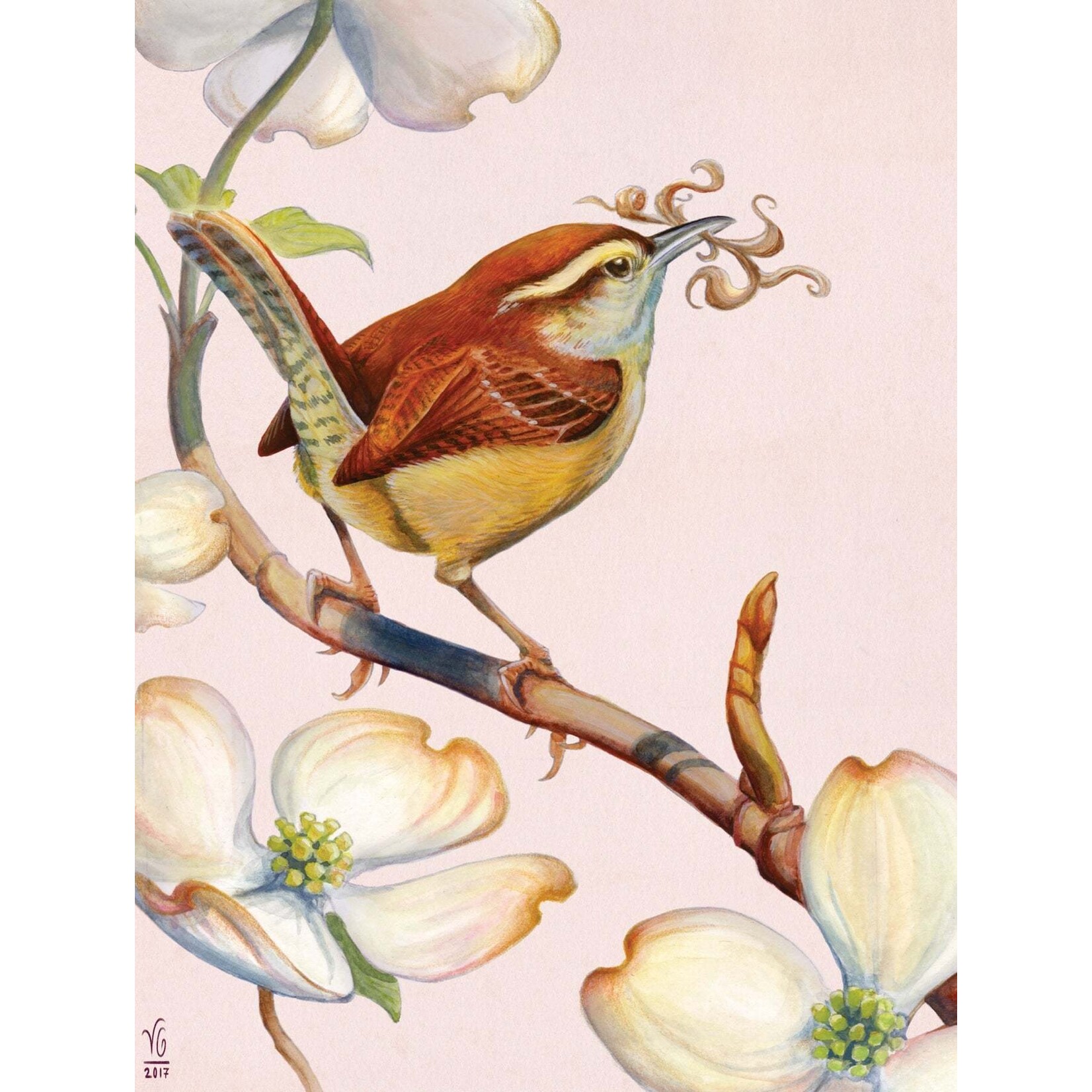New York Puzzle Co Cornell Lab of Ornithology, The - Carolina Wren 500 Piece Puzzle