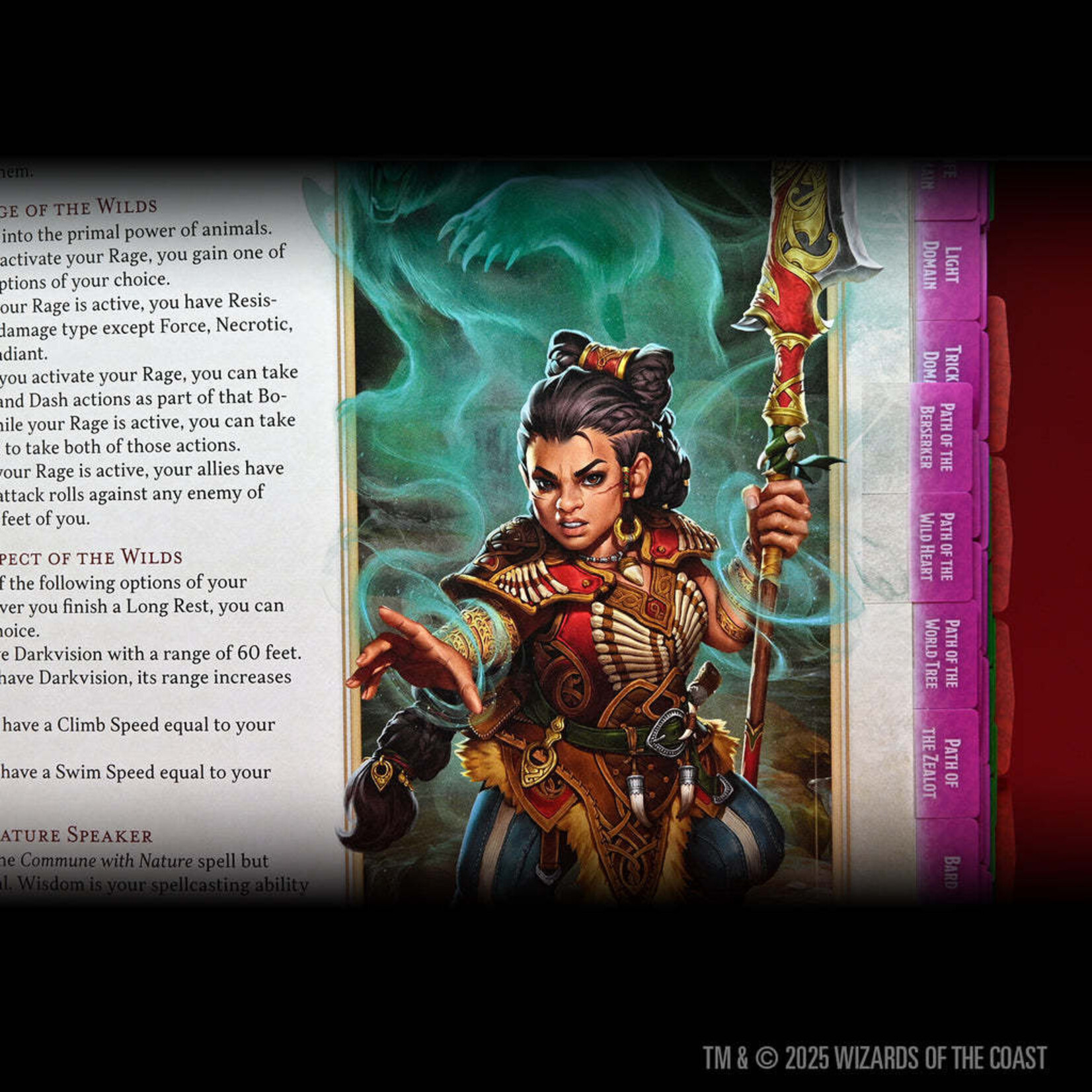 WizKids 2024 Player's Handbook - Book Tabs