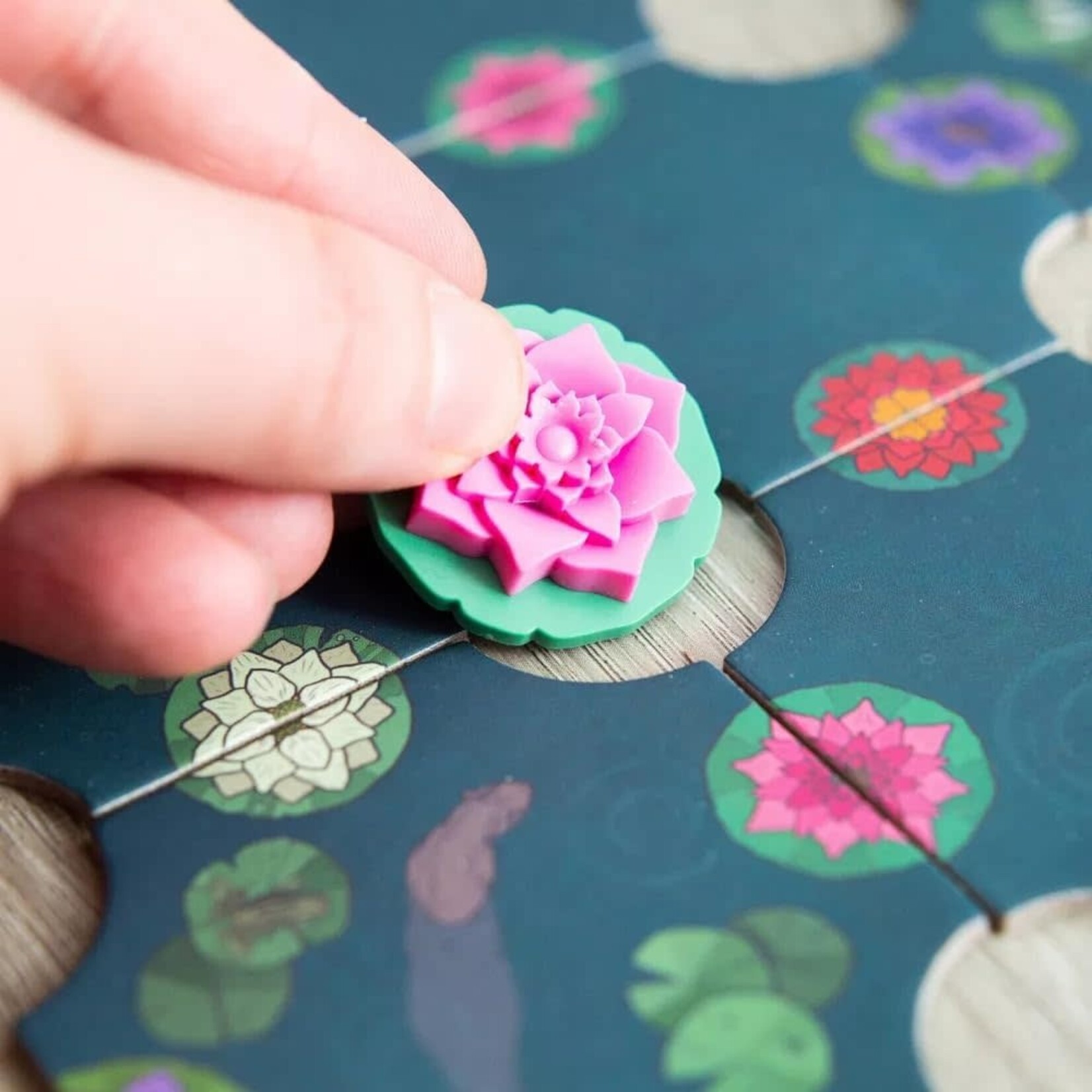 Incredible Dream Gentle Rain, A: Bloom Edition