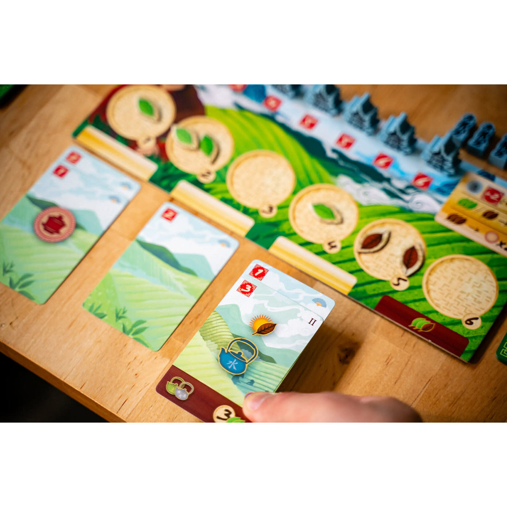 Capstone Games Tea Garden