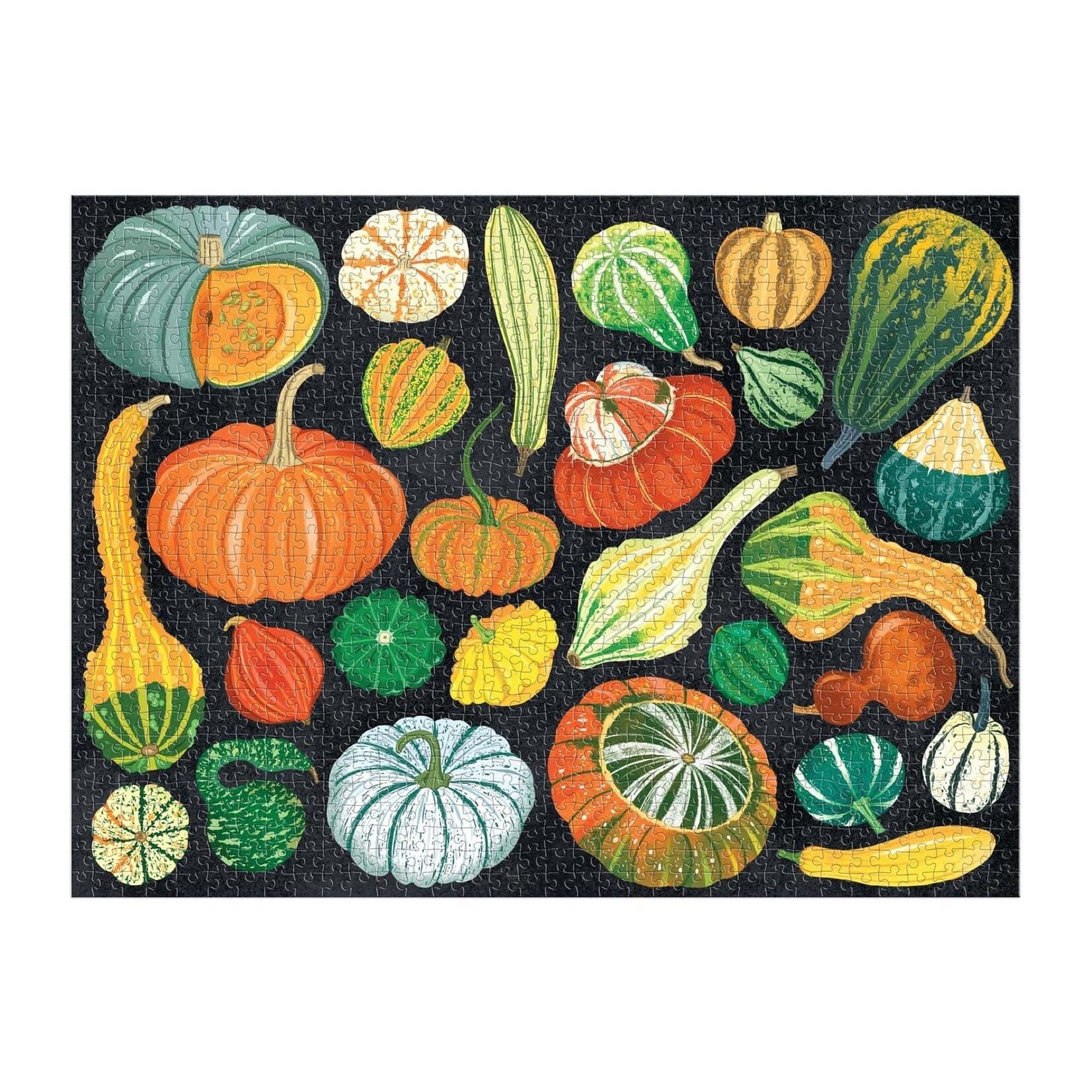 galison World of Pumpkins 1000 Piece Puzzle