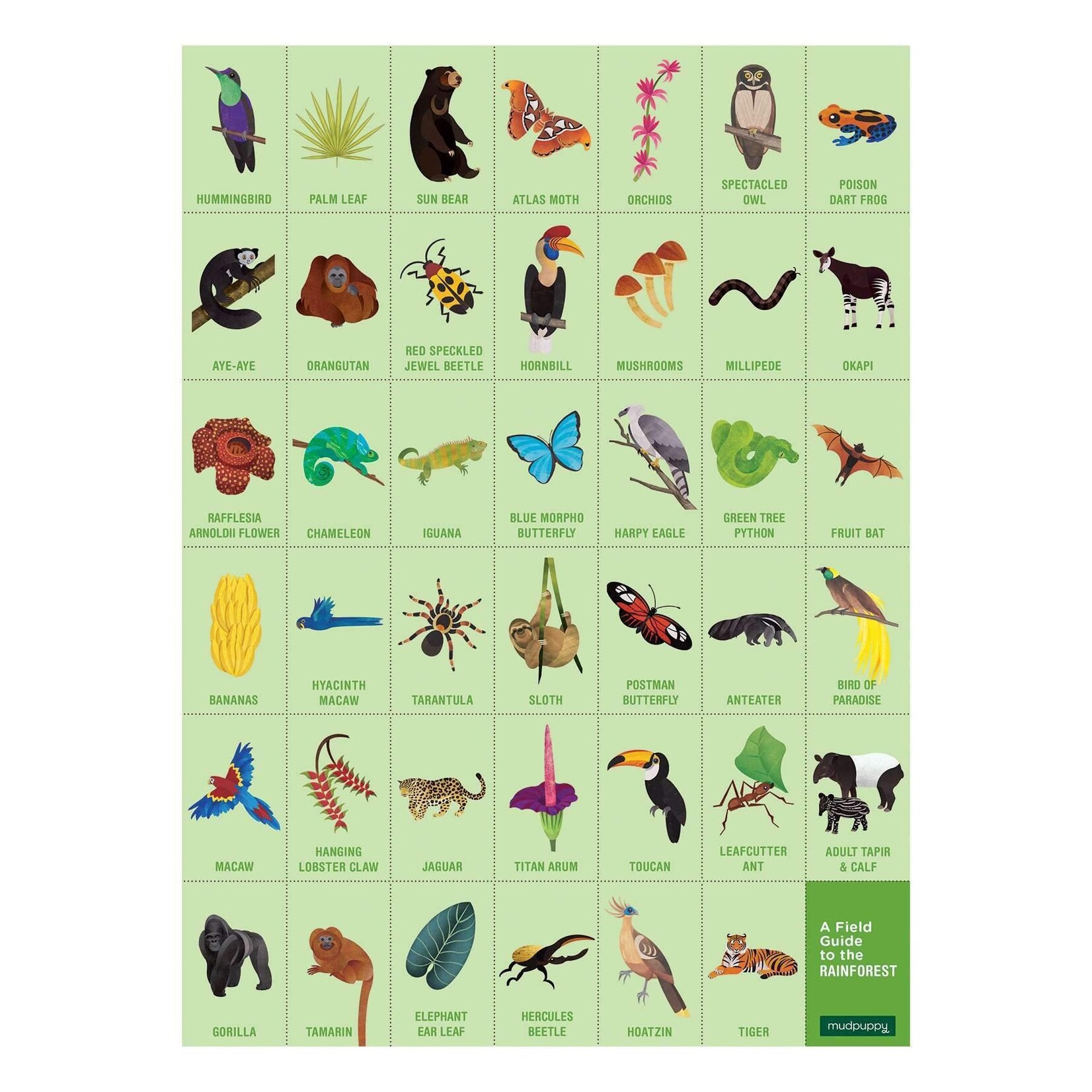 Mudpuppy Search & Find 64 Piece Puzzle - Rainforest