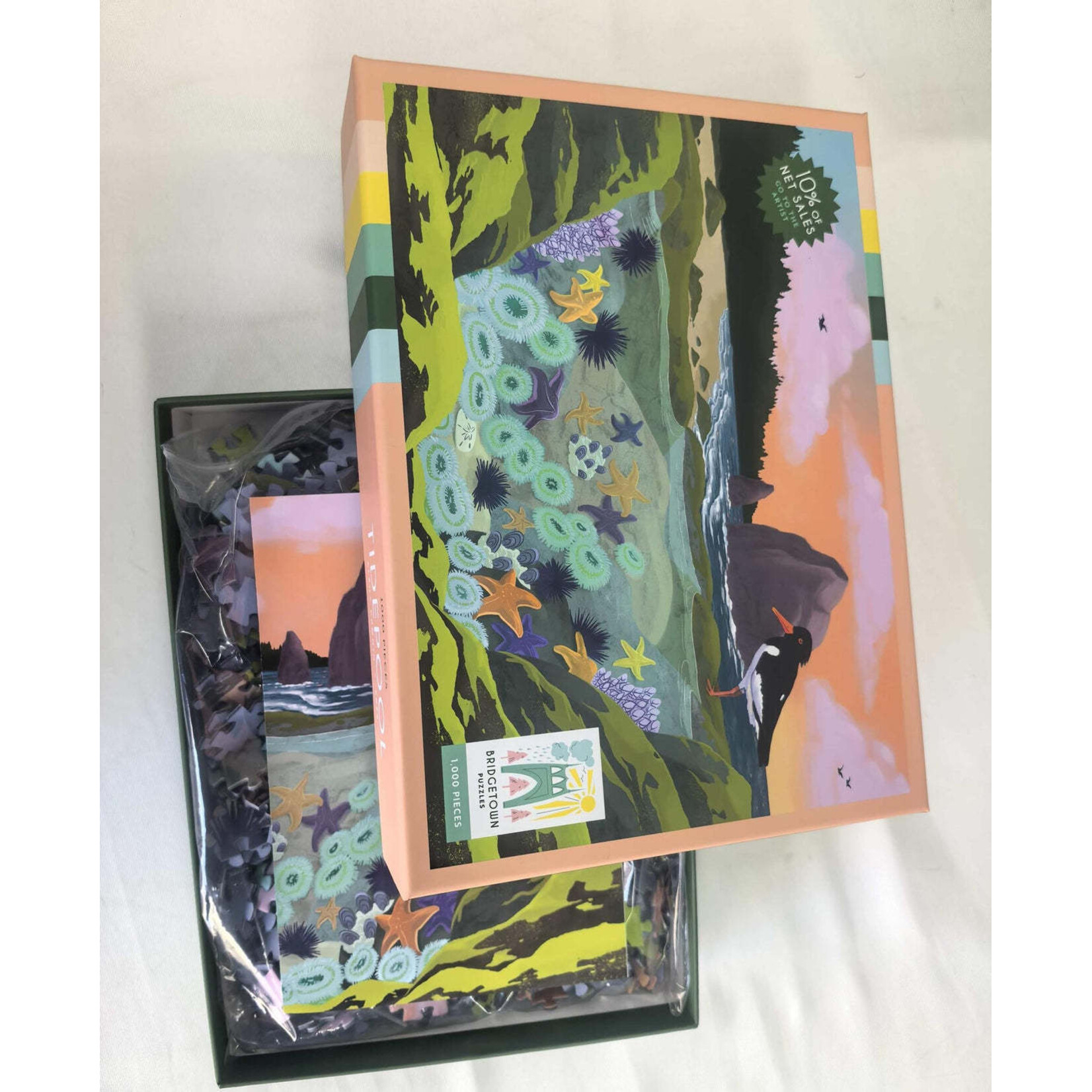 Bridgetown Puzzles Tidepool 1000 Piece Puzzle
