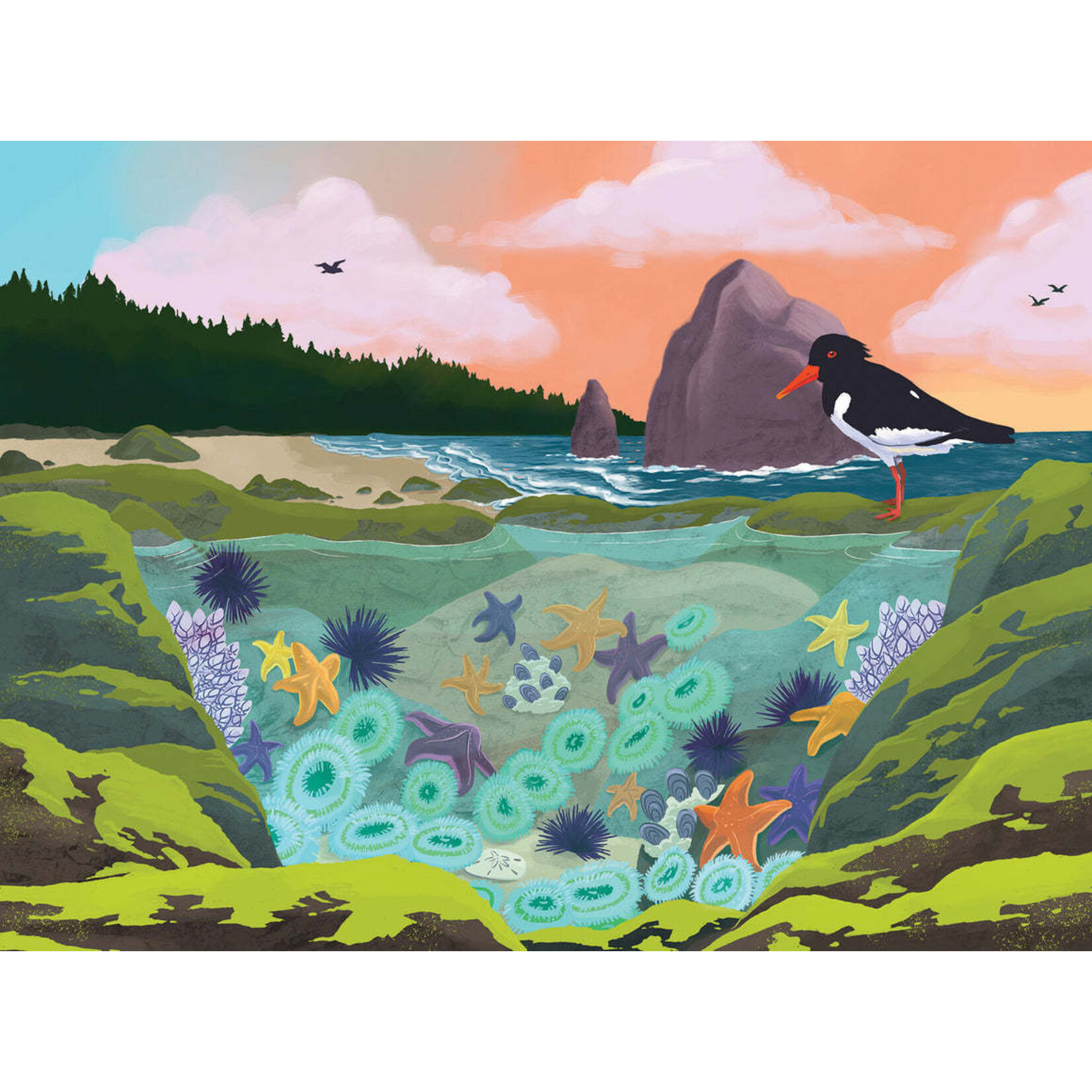 Bridgetown Puzzles Tidepool 1000 Piece Puzzle