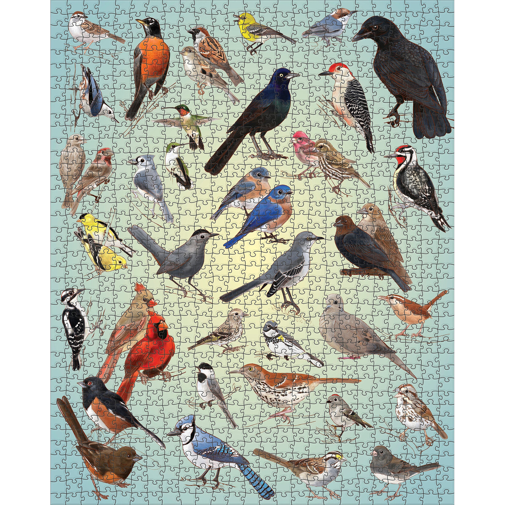 Pomegranate Casey Girard: Backyard Birds 1000-Piece Jigsaw Puzzle