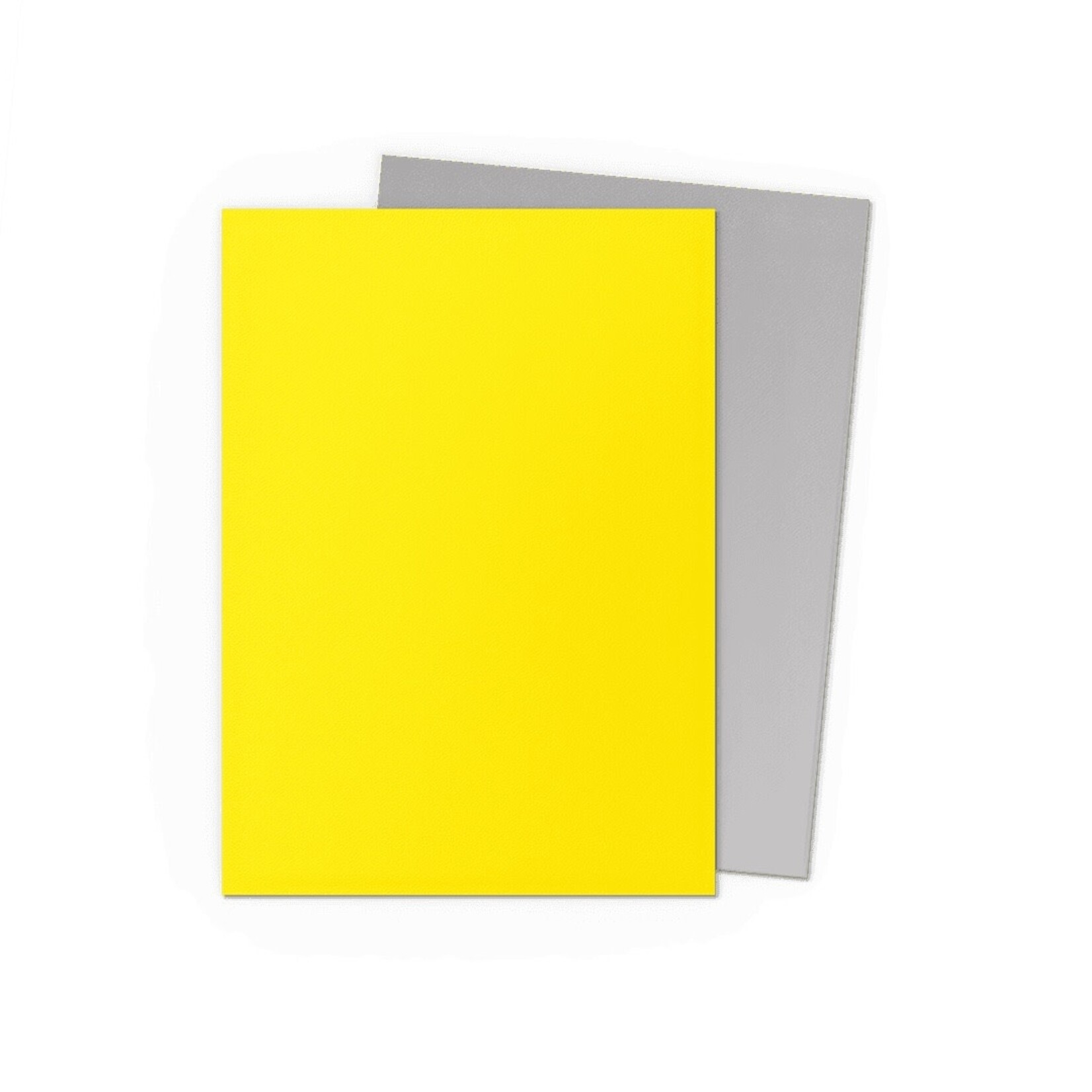 Dragon Shield Standard Size Matte Dual Sleeves - Yellow & Silver (100ct)