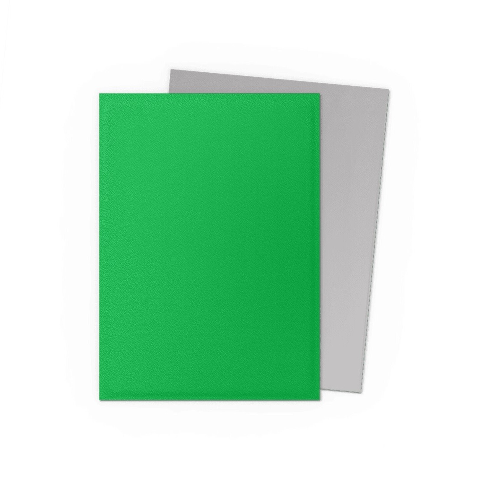 Dragon Shield Standard Size Matte Dual Sleeves - Apple Green & Silver (100ct)