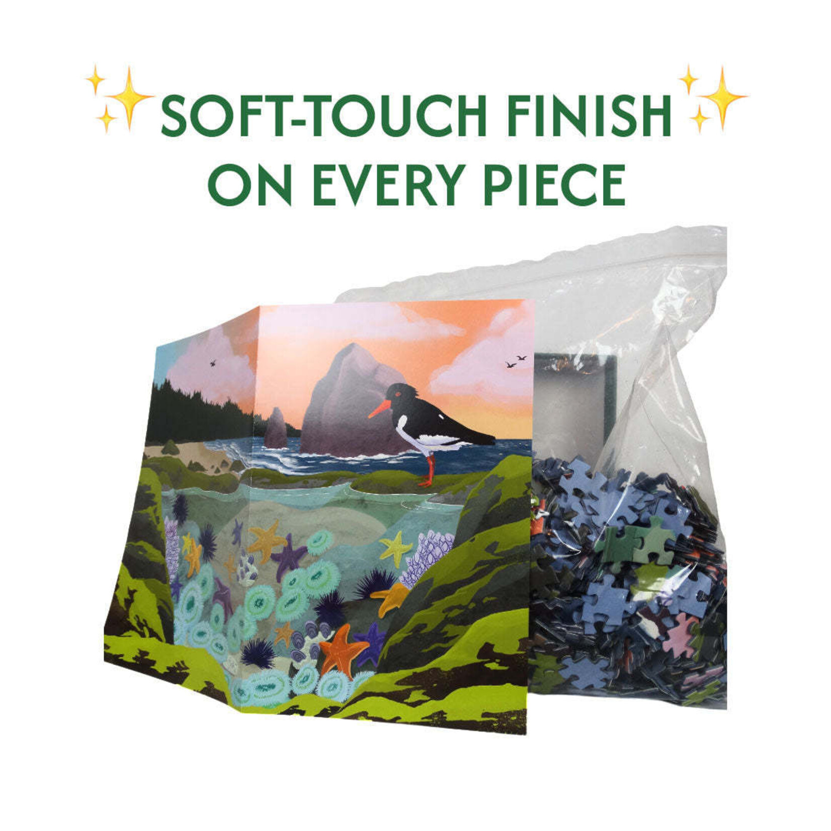 Bridgetown Puzzles Tidepool 1000 Piece Puzzle