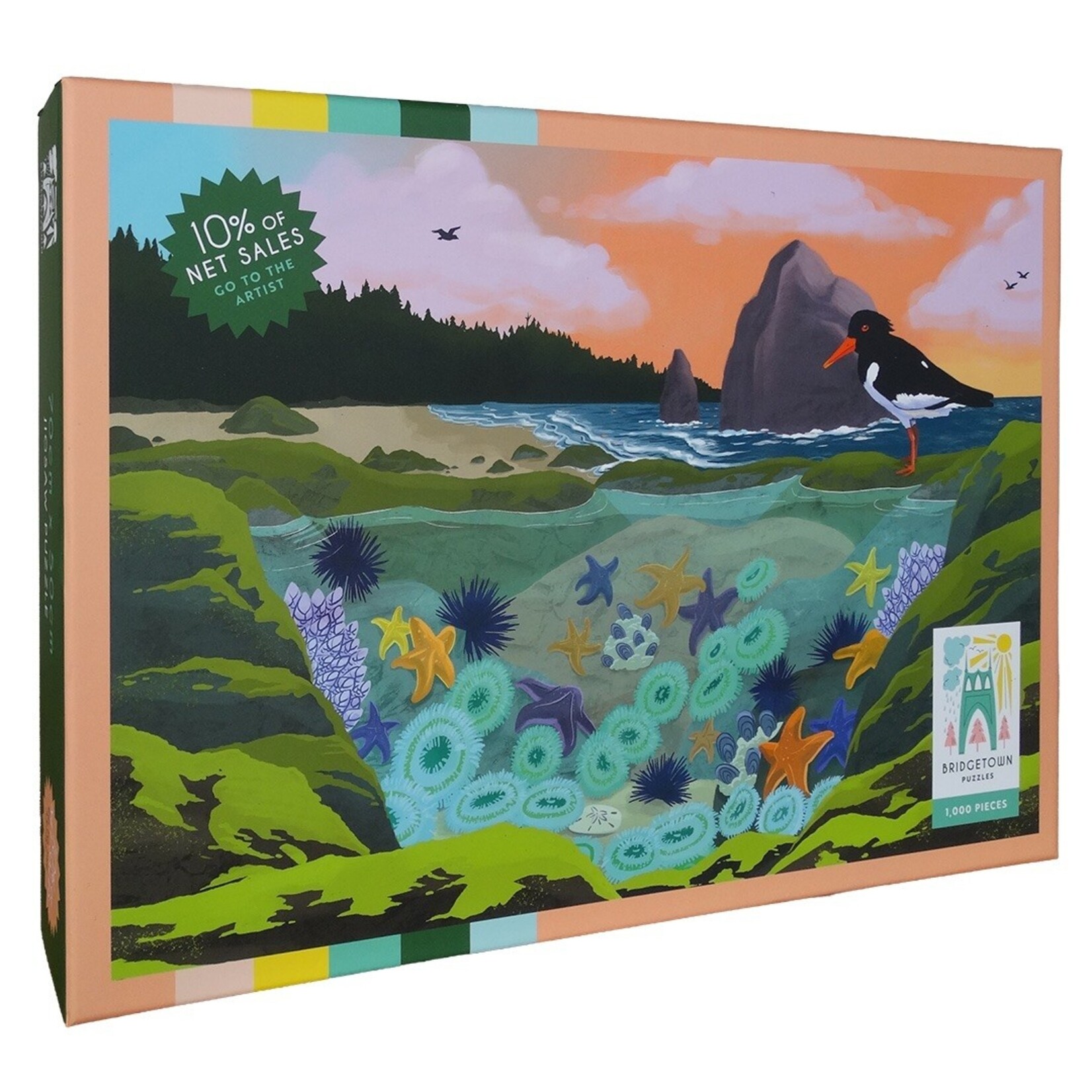 Bridgetown Puzzles Tidepool 1000 Piece Puzzle