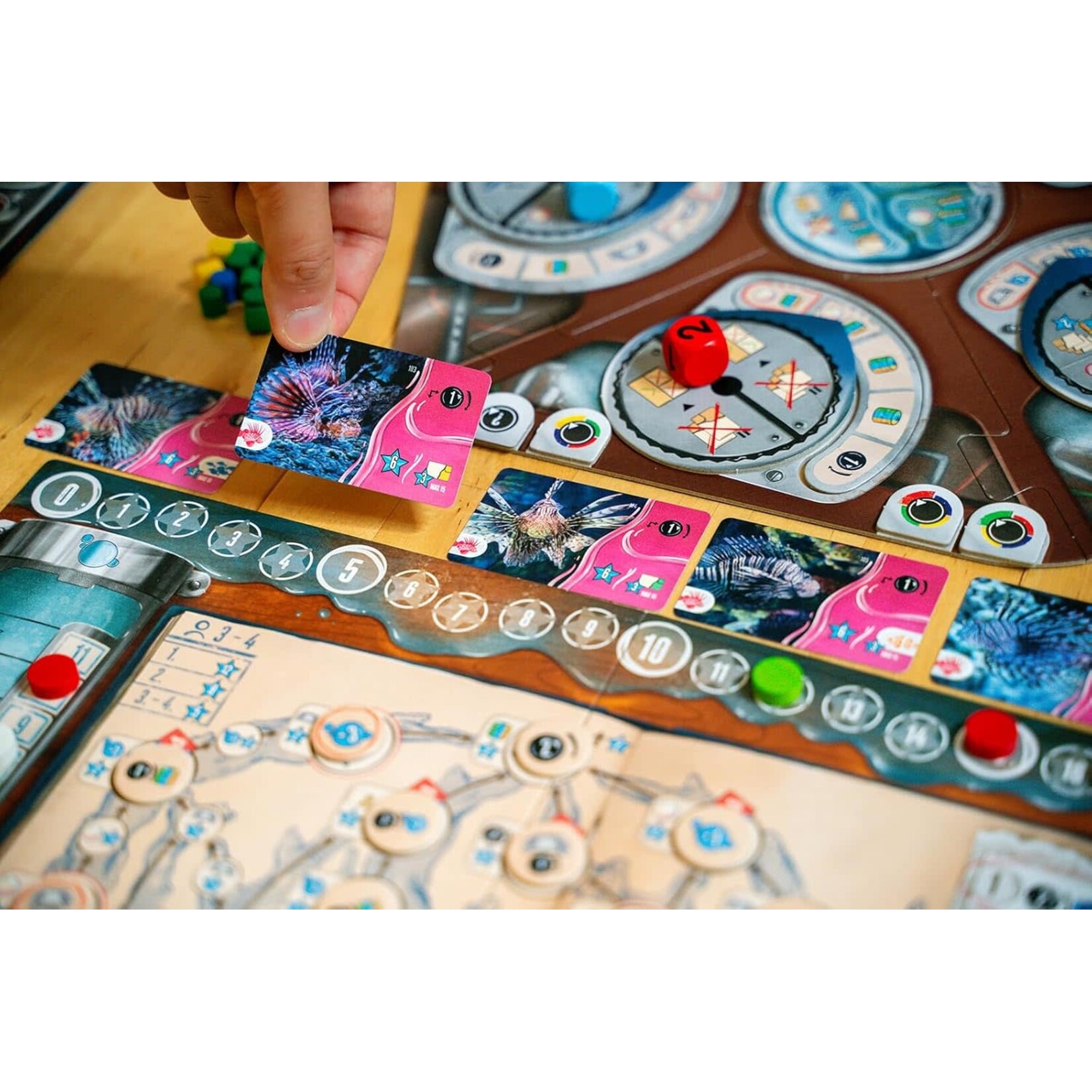 Capstone Games Aquaria