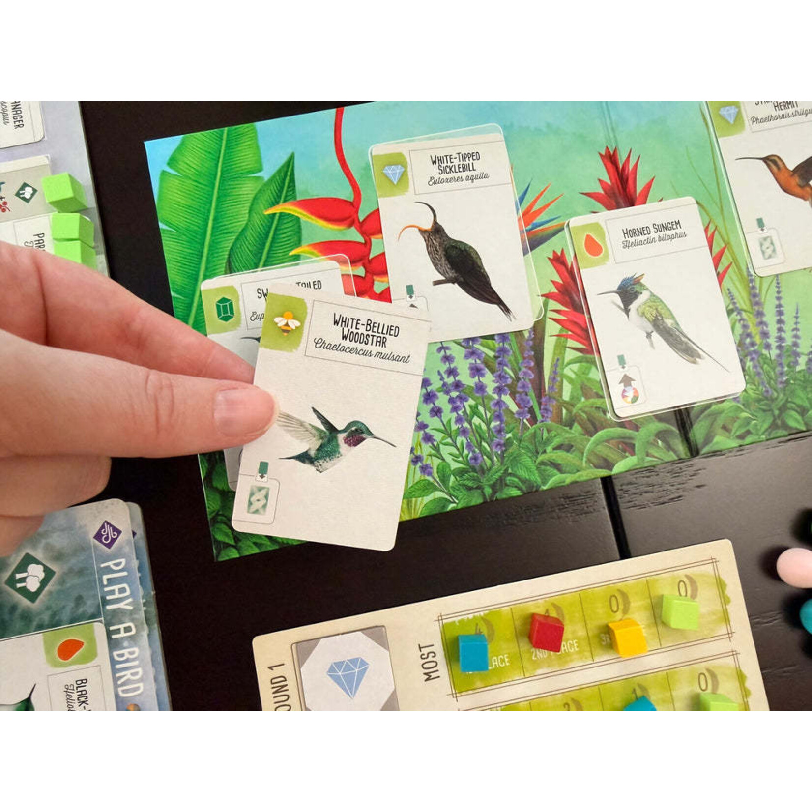 Stonemaier Games Wingspan: Americas Expansion