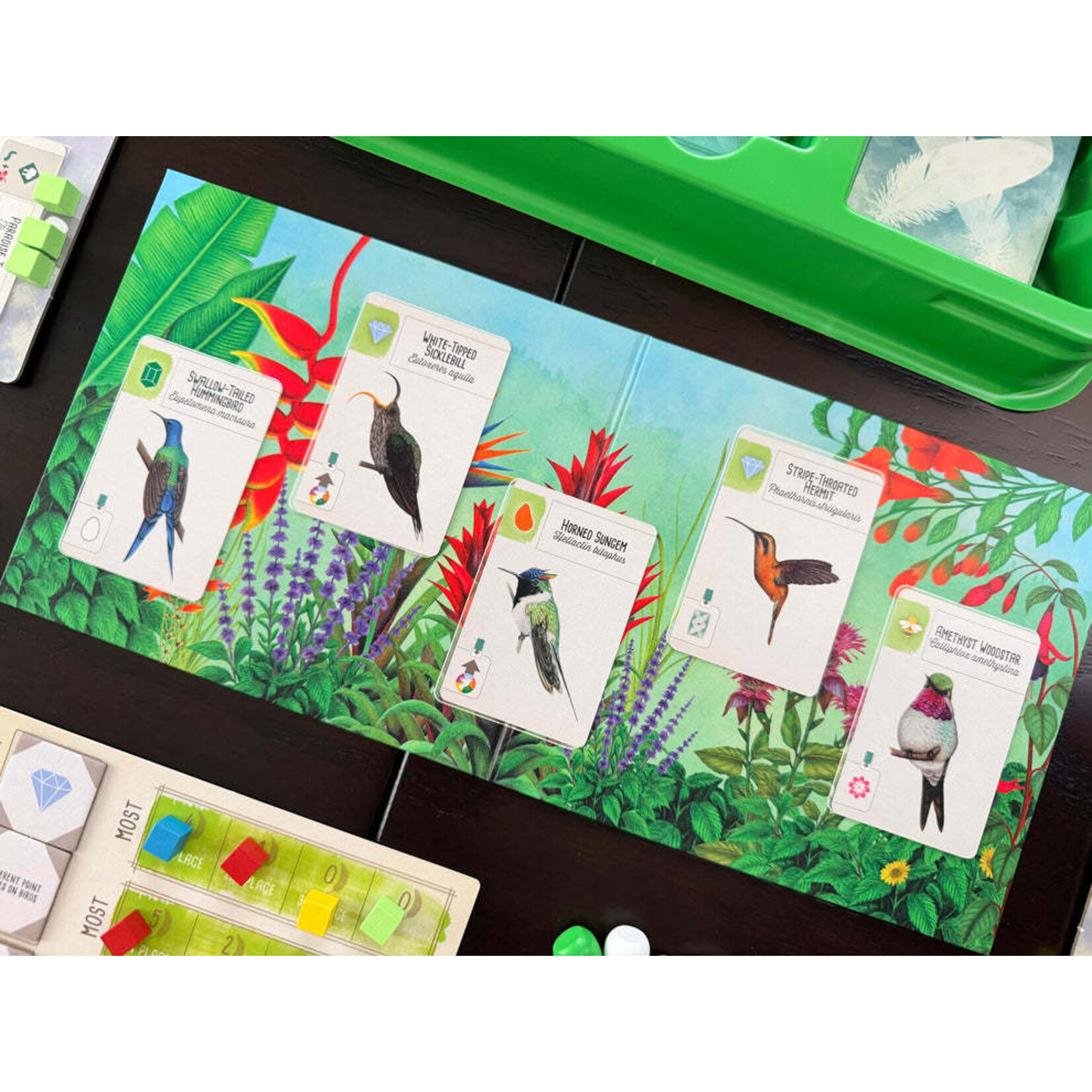 Stonemaier Games Wingspan: Americas Expansion