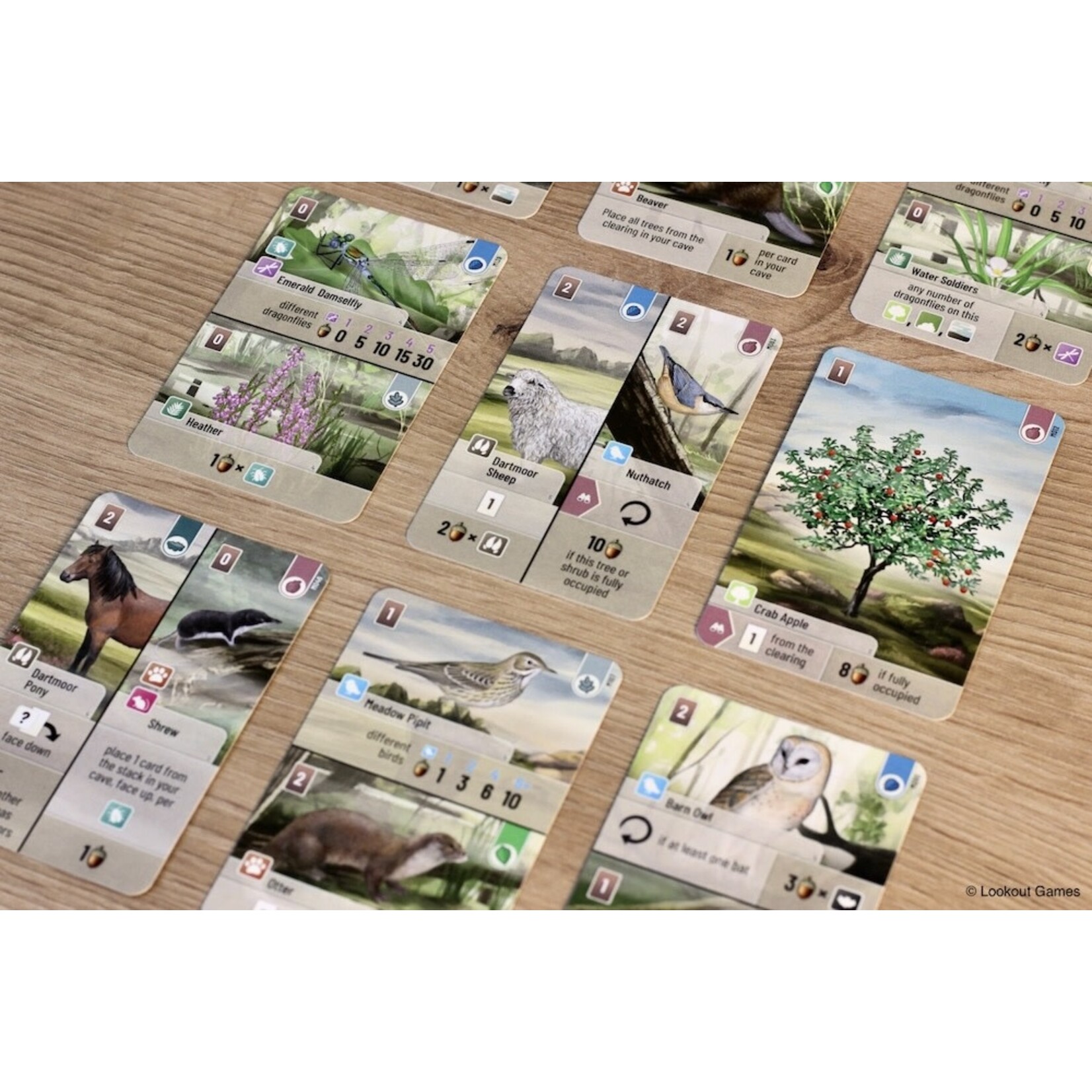 Lookout Games Forest Shuffle: Dartmoor