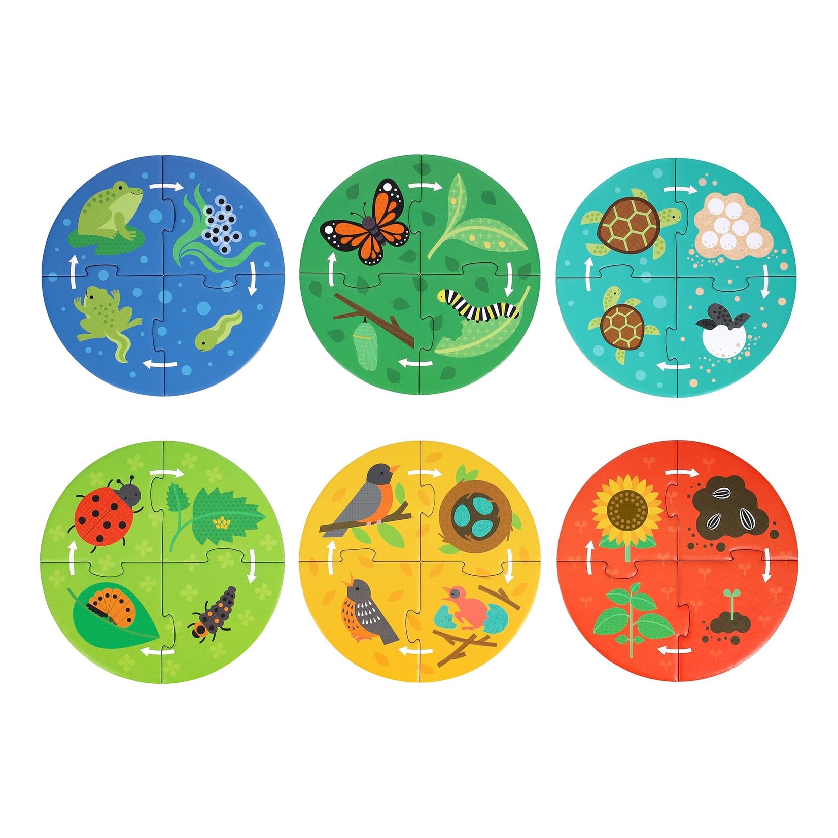 Petit Collage Discovery Puzzle: Life Cycle