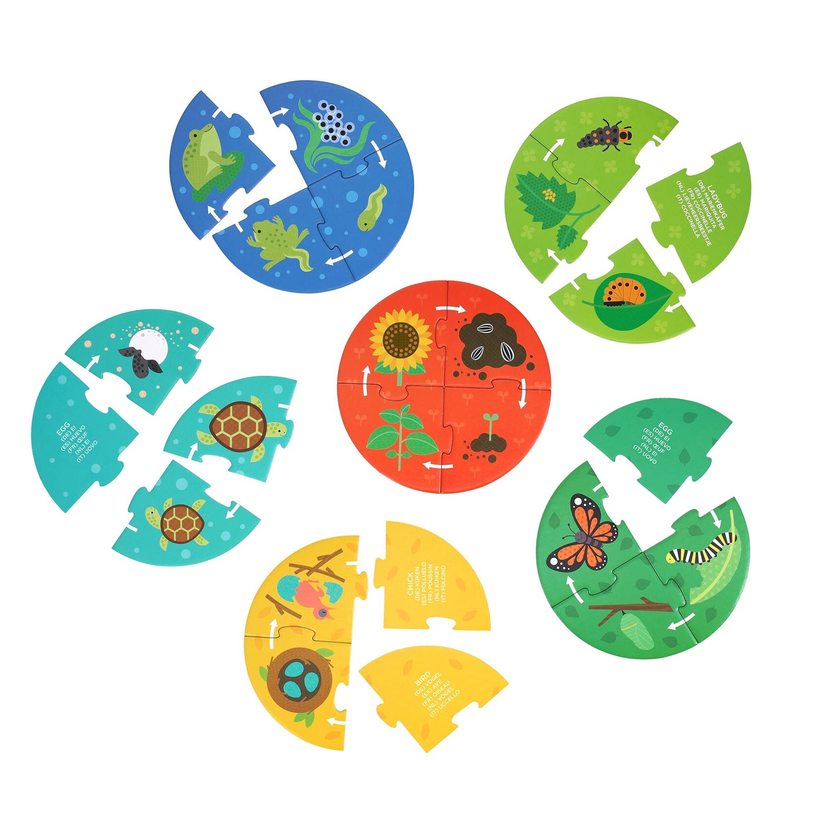 Petit Collage Discovery Puzzle: Life Cycle