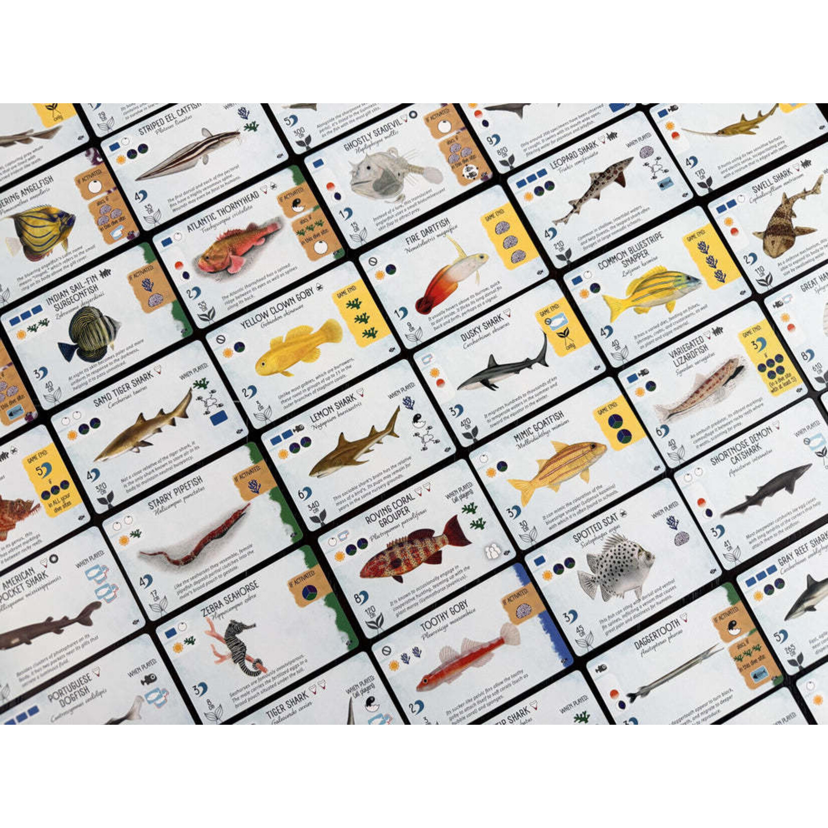 Stonemaier Games Finspan - Sharks & Reefs