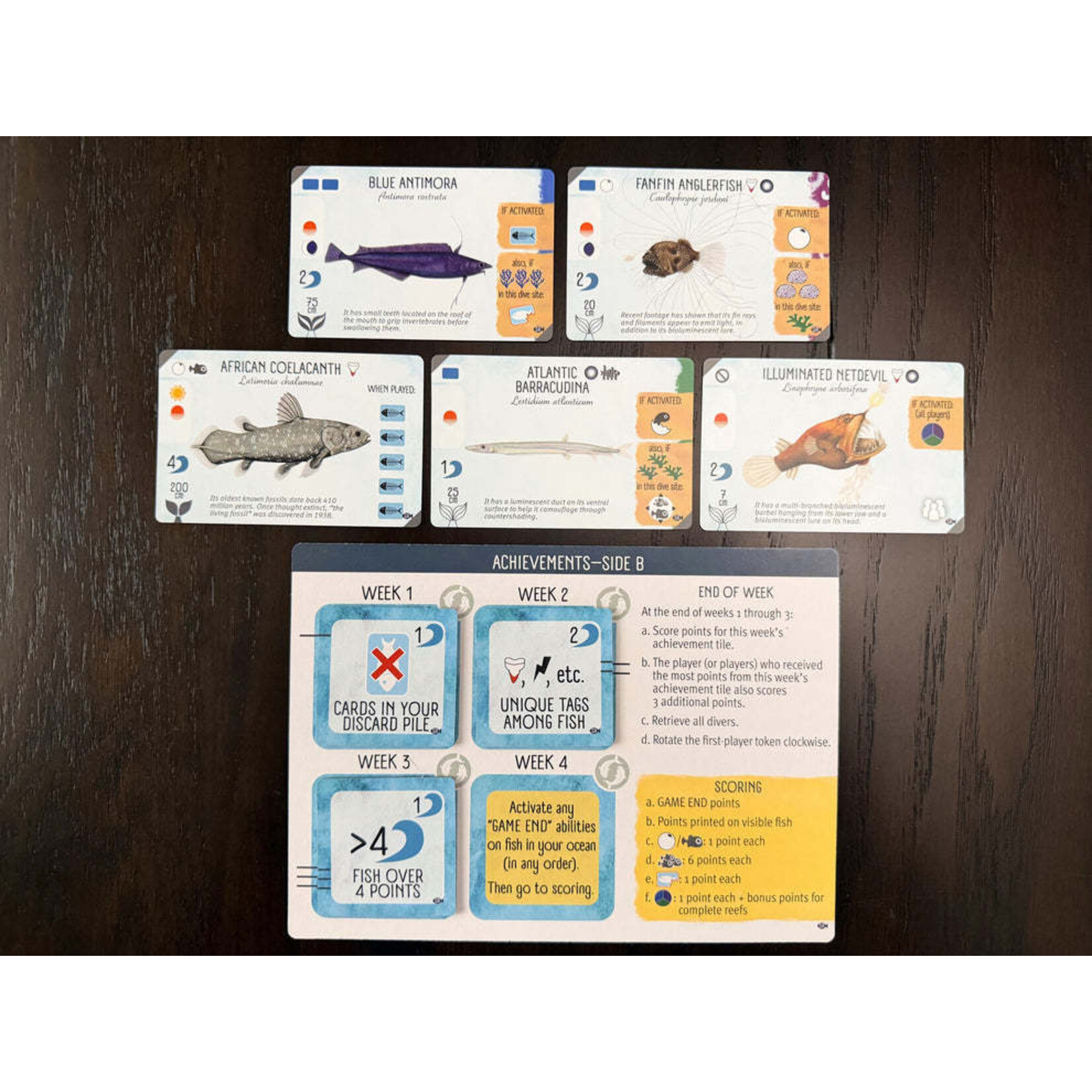 Stonemaier Games Finspan - Sharks & Reefs