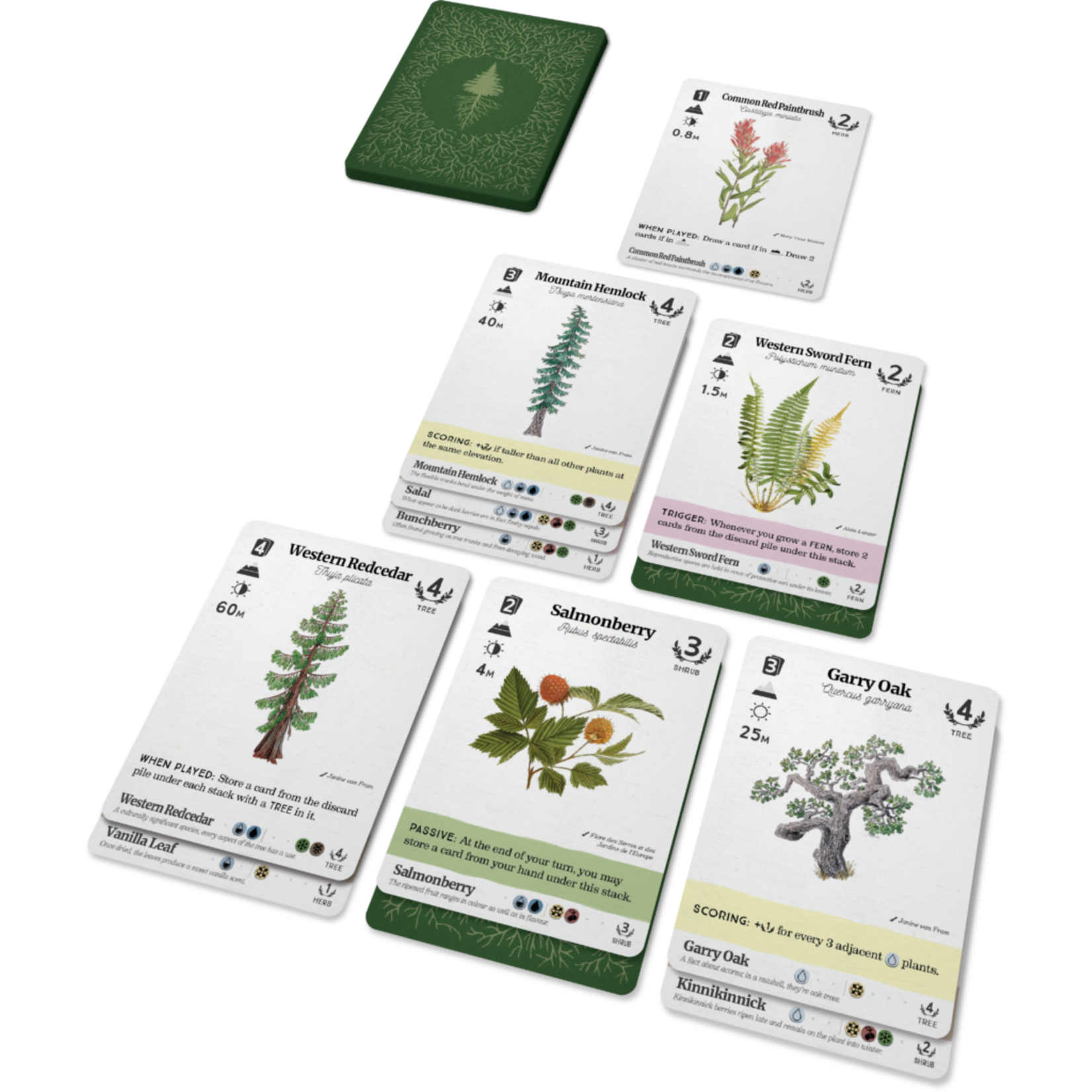 Firestarter Games Reforest: Plants of the Pacific Northwest Coast