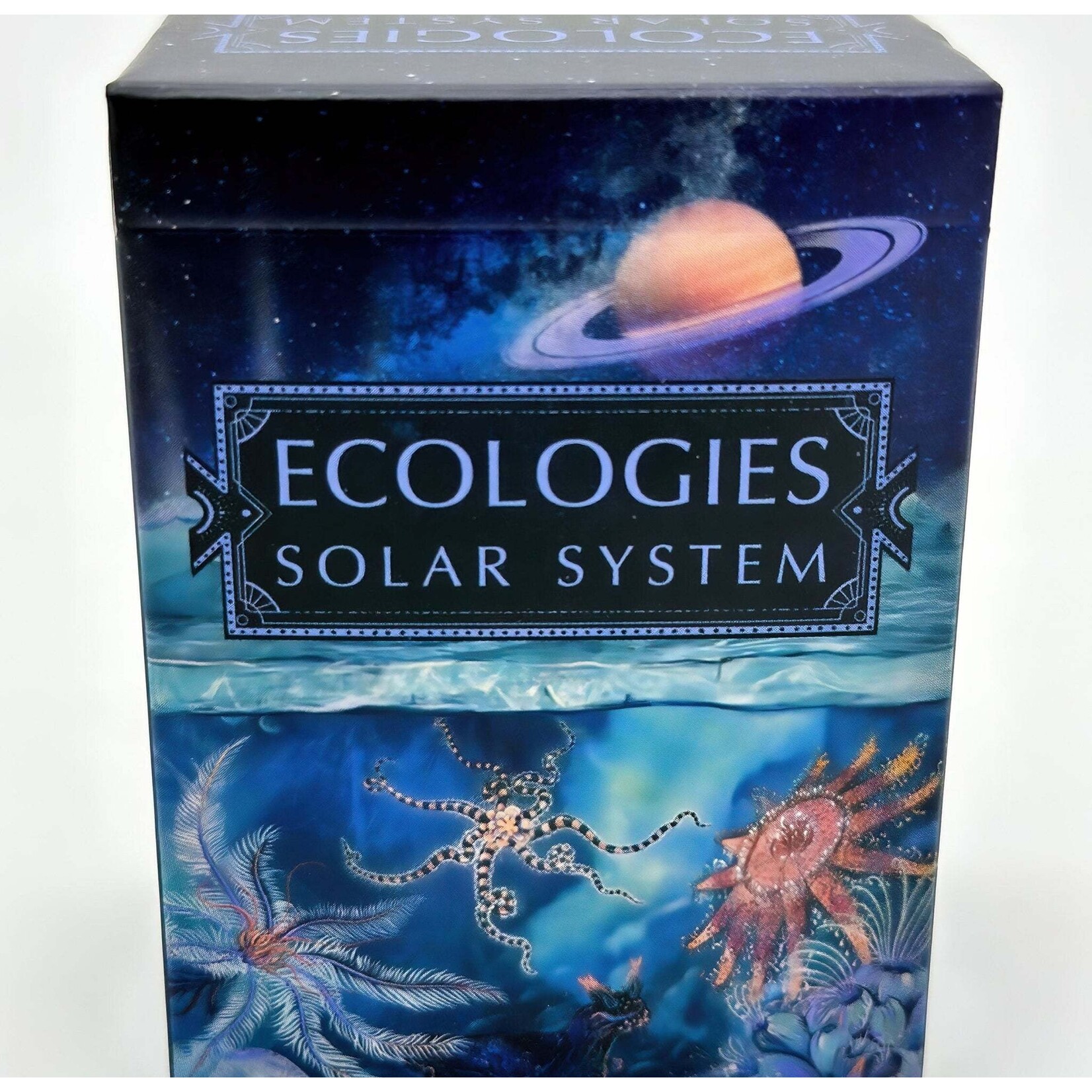 Montrose Biology Ecologies: Solar Systems