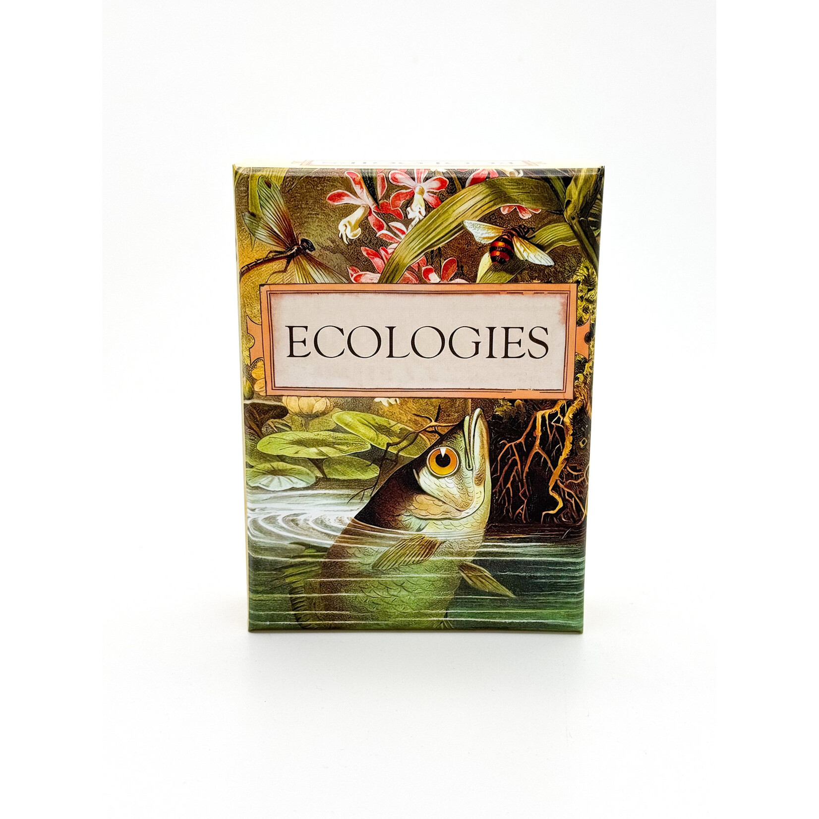 Montrose Biology Ecologies