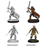 WizKids D&D Nolzur's Marvelous Miniatures: Vampire Hunters