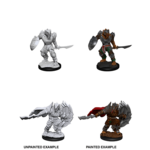 WizKids D&D Nolzur's Marvelous Miniatures: Dragonborn Fighter, Male