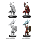 WizKids D&D Nolzur's Marvelous Miniatures: Half-Elf Paladin Male - Wave 14
