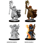 WizKids D&D Nolzur's Marvelous Miniatures: Dragonborn Sorcerer, Female - Wave 8