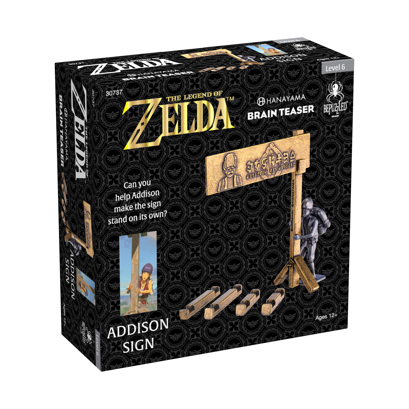 Hanayama Cast Metal Puzzle Level 6: Addison Sign