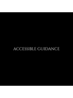 Guida accessibile
