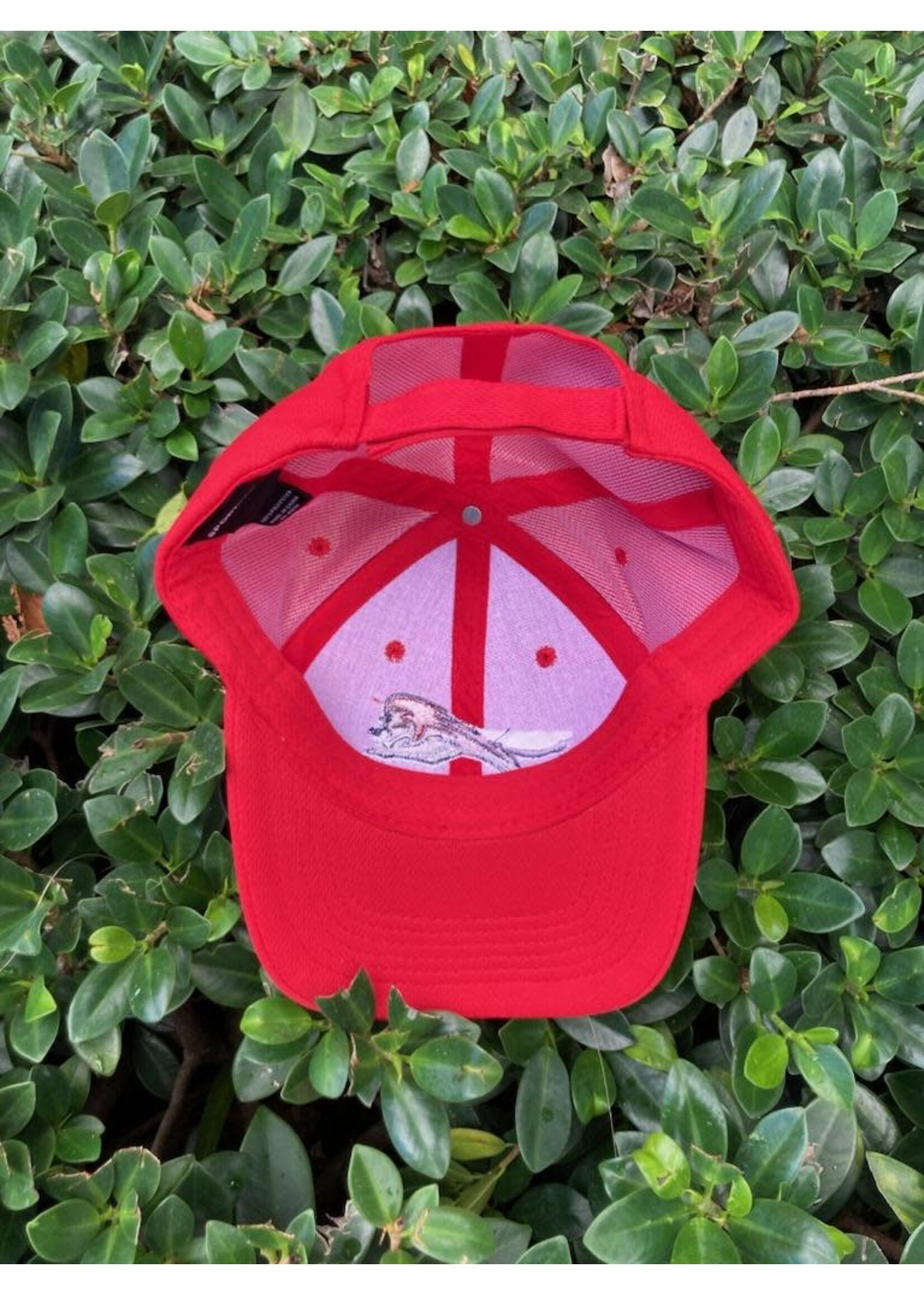 Red-Baseball-Hat