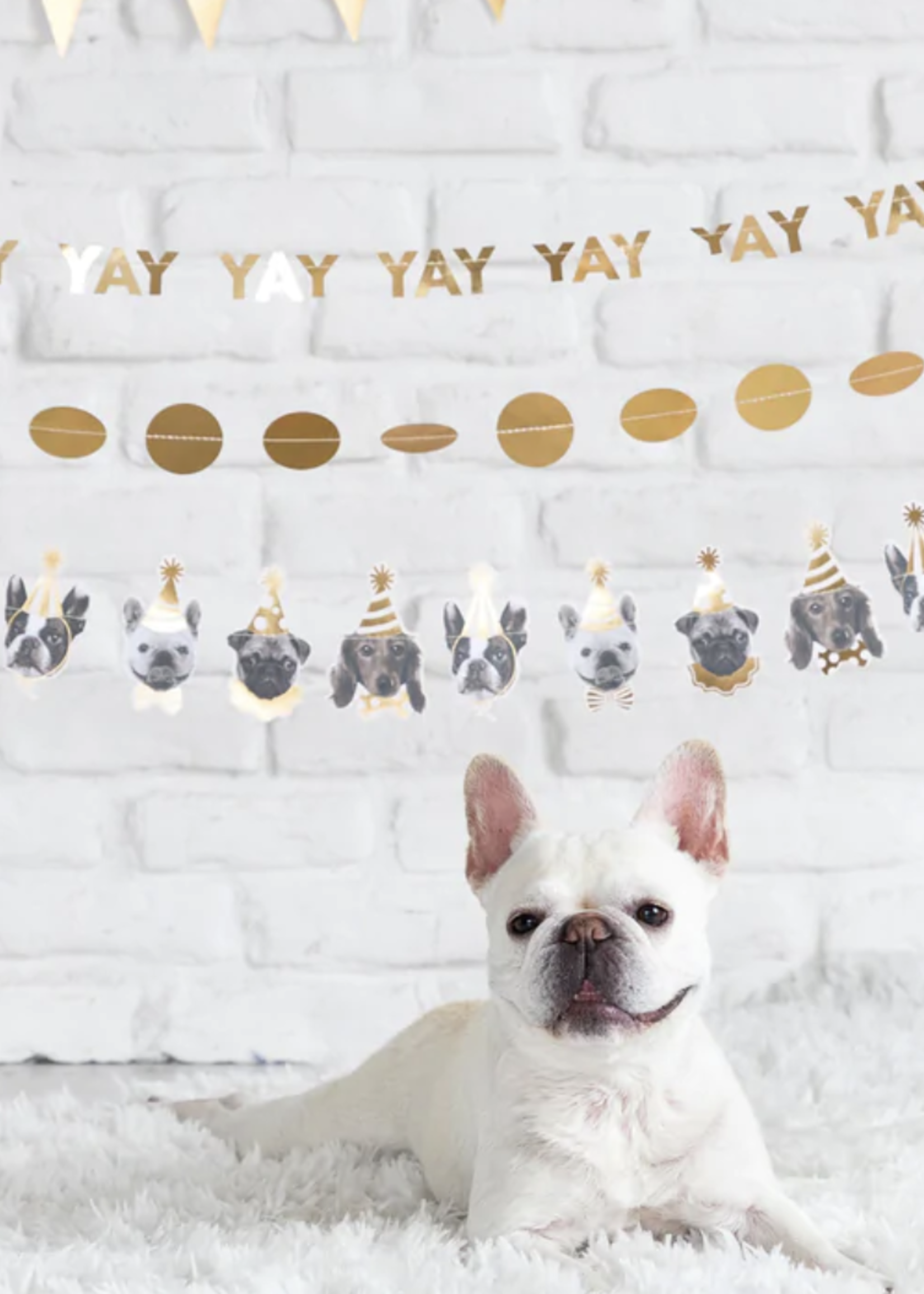 Creative Twist Events Basic Dog Banner