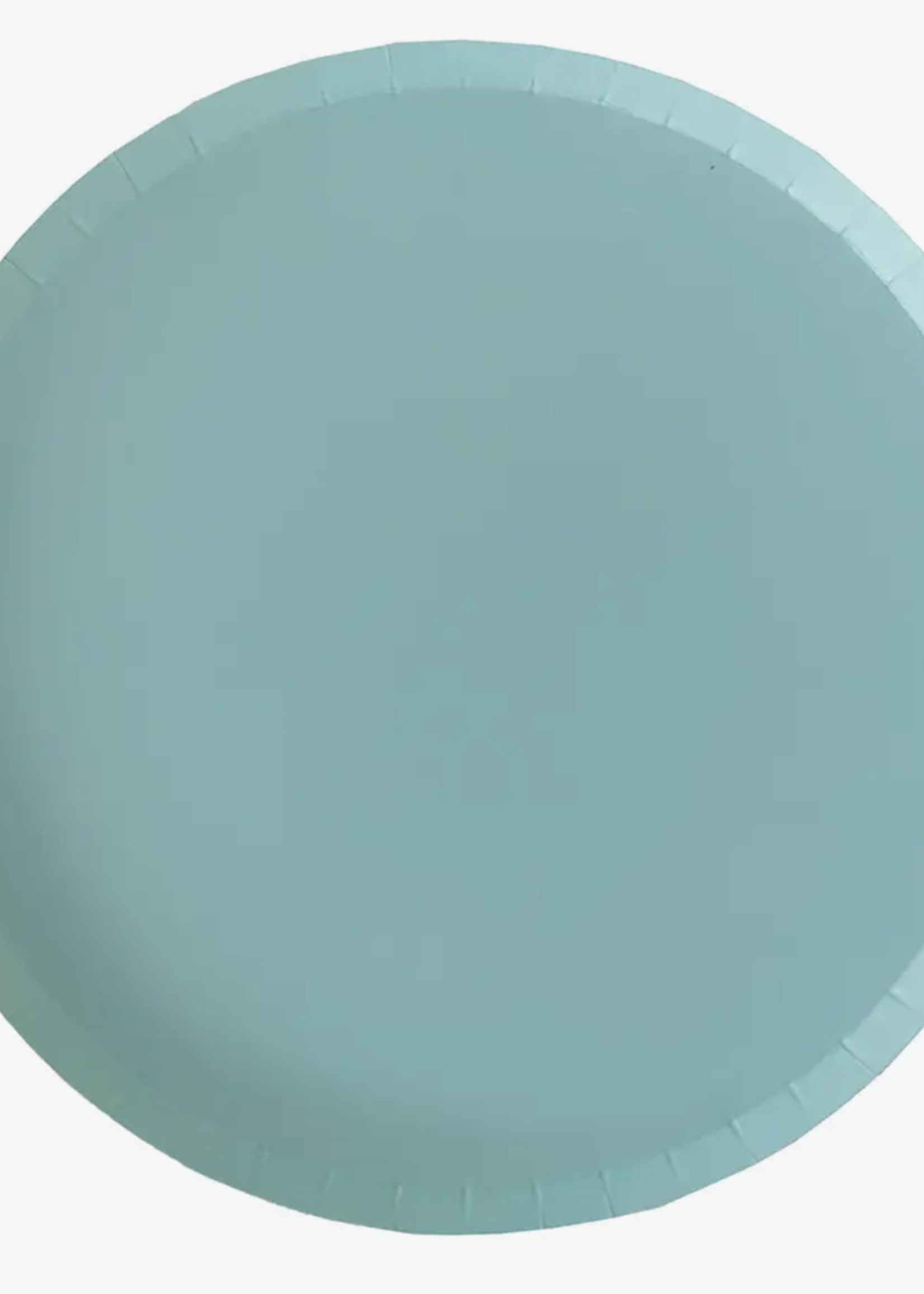 Creative Twist Events Shade Collection Seafoam Dinner Plates - 8 Pk.