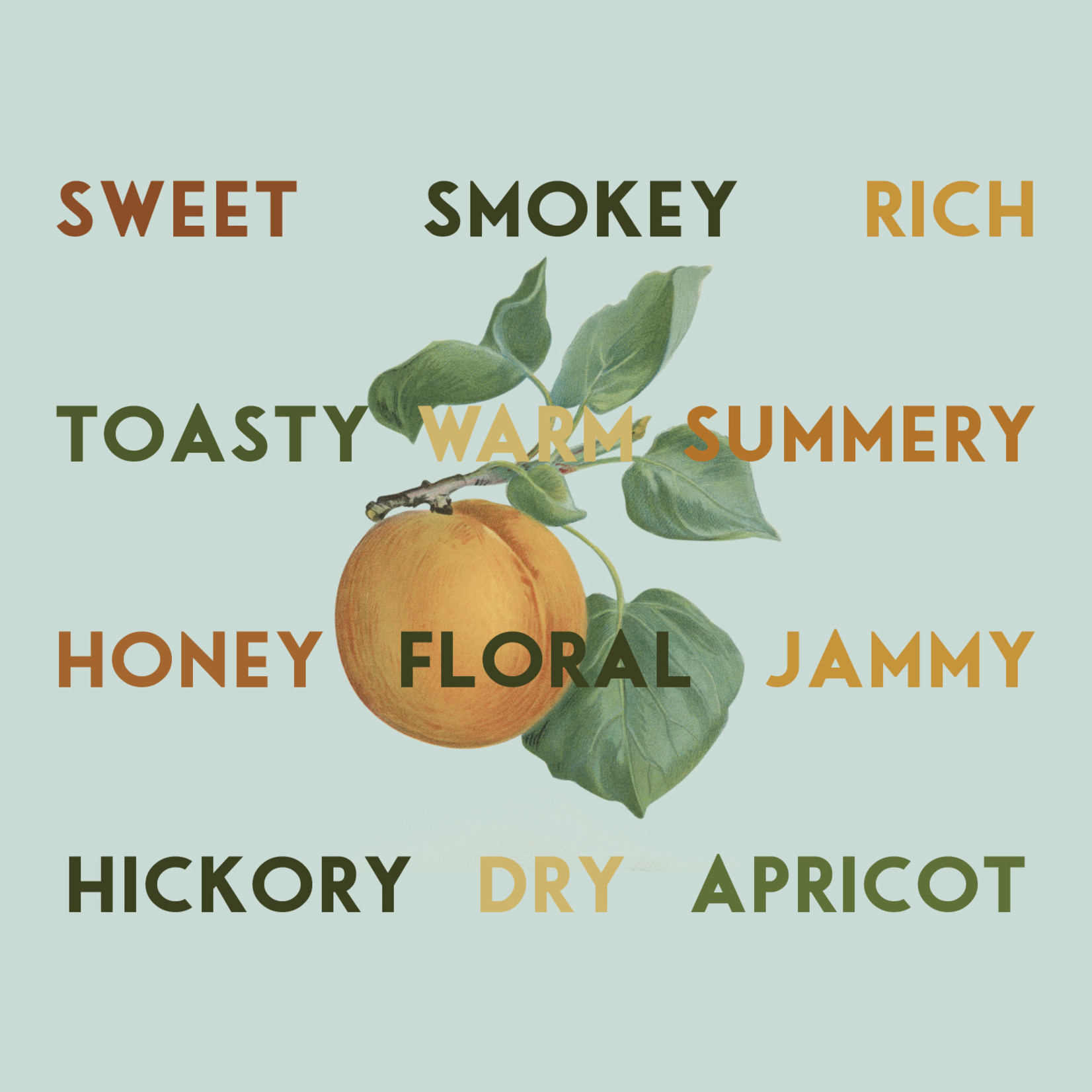 Mister Bitters Mister Bitters Honeyed Apricot & Smoked Hickory