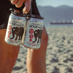 Strange Fellows Strange Fellows Non Alc Pale Ale