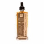 Dashfire Dashfire Bitters Bay Leaf