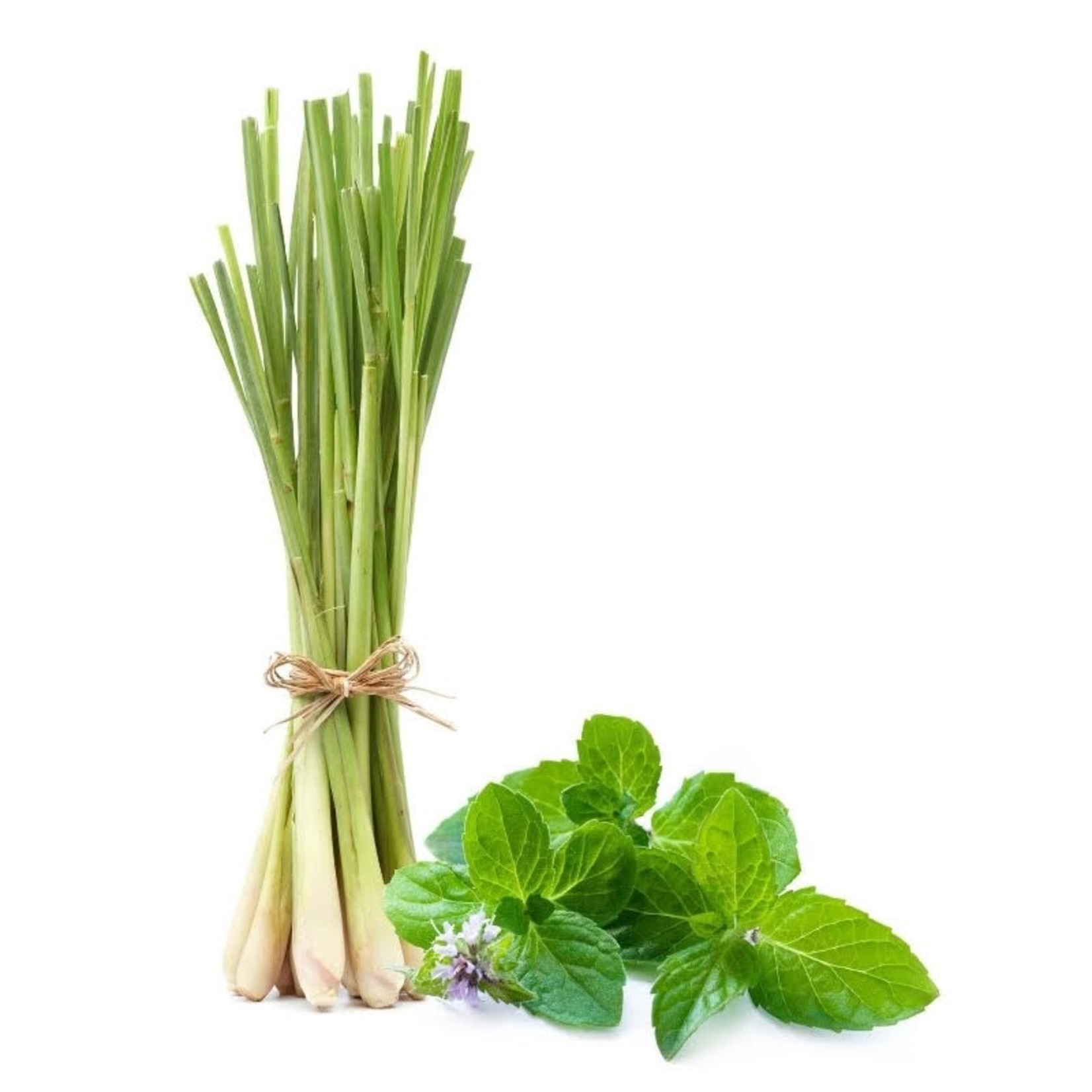 All-Natural Thai Lemongrass Mint White Balsamic Vinegar