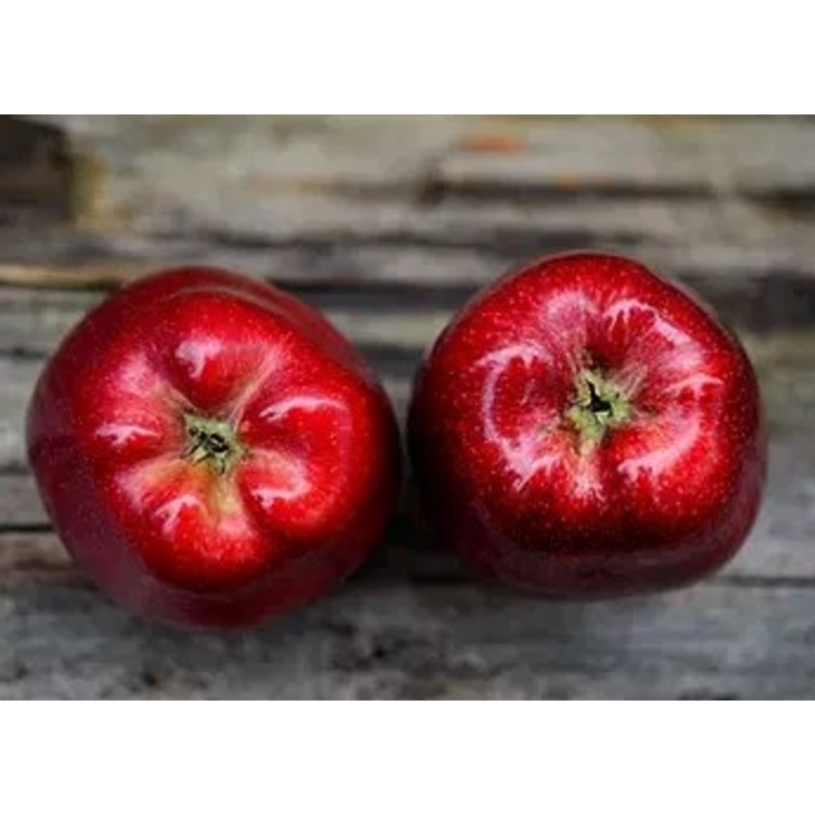 Amaya~Bella Red Apple Balsamic Vinegar