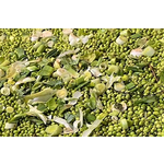 Greek Leek Olive Oil 60 ml