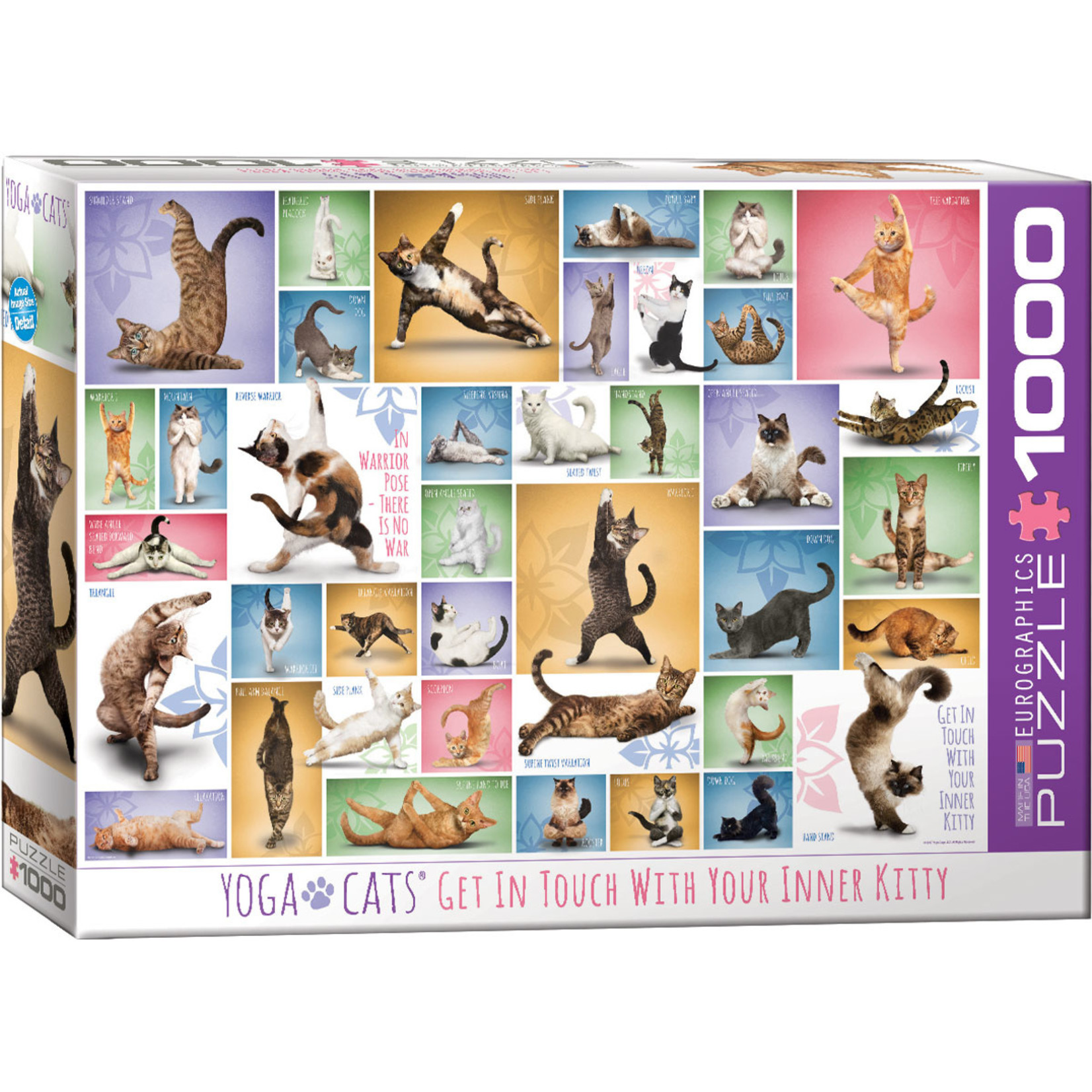 EuroGraphics Puzzles Yoga Cats 1000pc