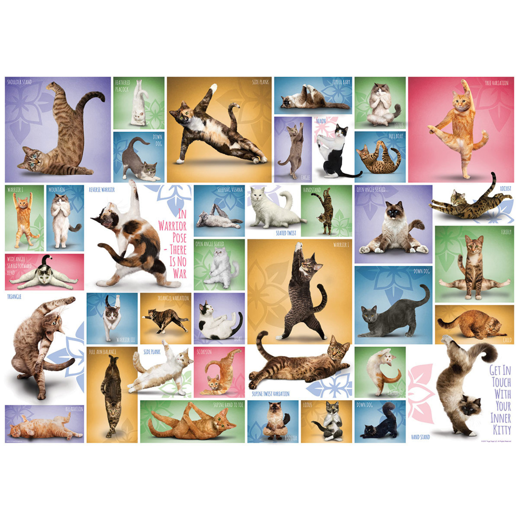 EuroGraphics Puzzles Yoga Cats 1000pc