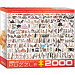EuroGraphics Puzzles The World of Cats 2000pc