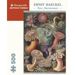 Ernst Haeckel: Sea Anemones 500pc