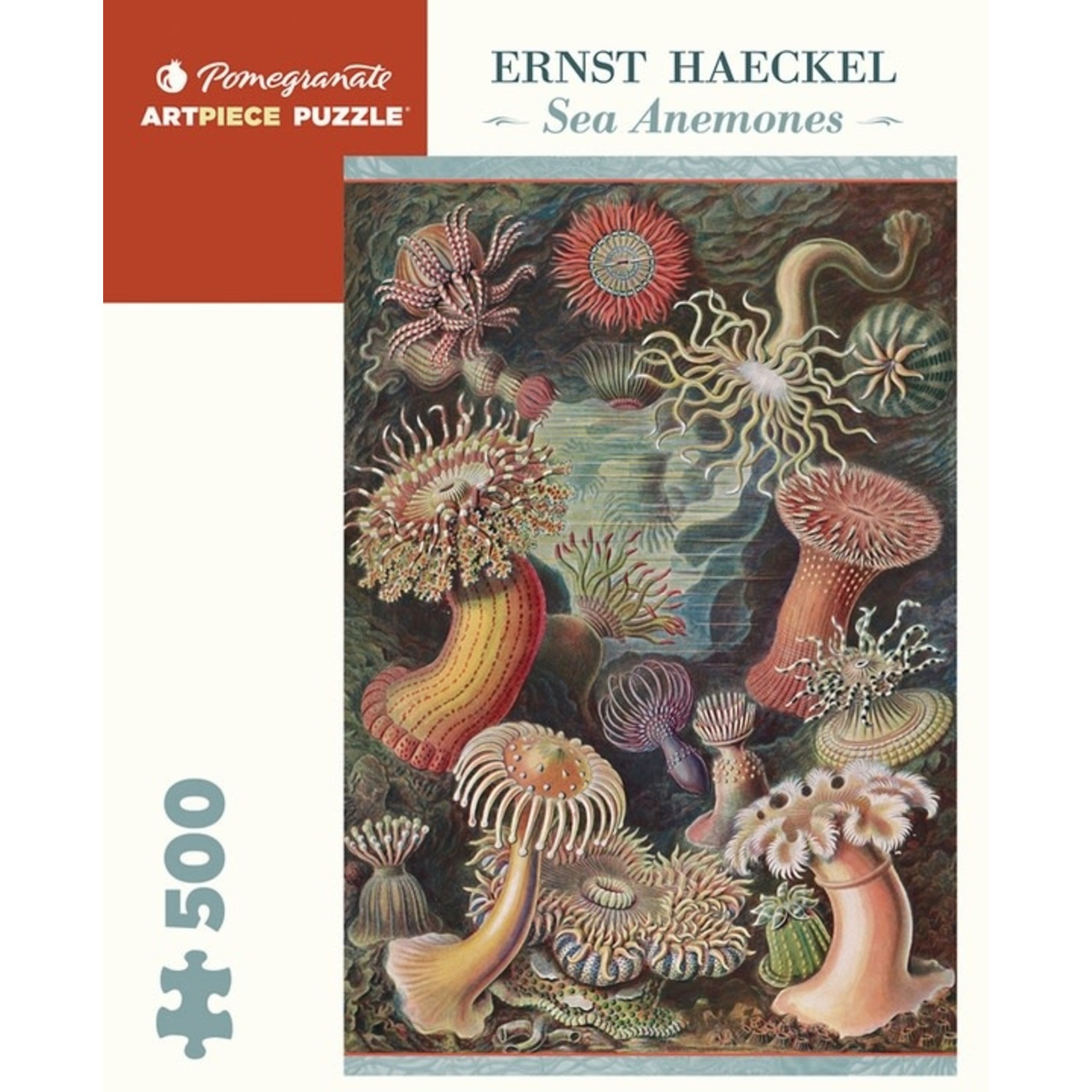 Ernst Haeckel: Sea Anemones 500pc