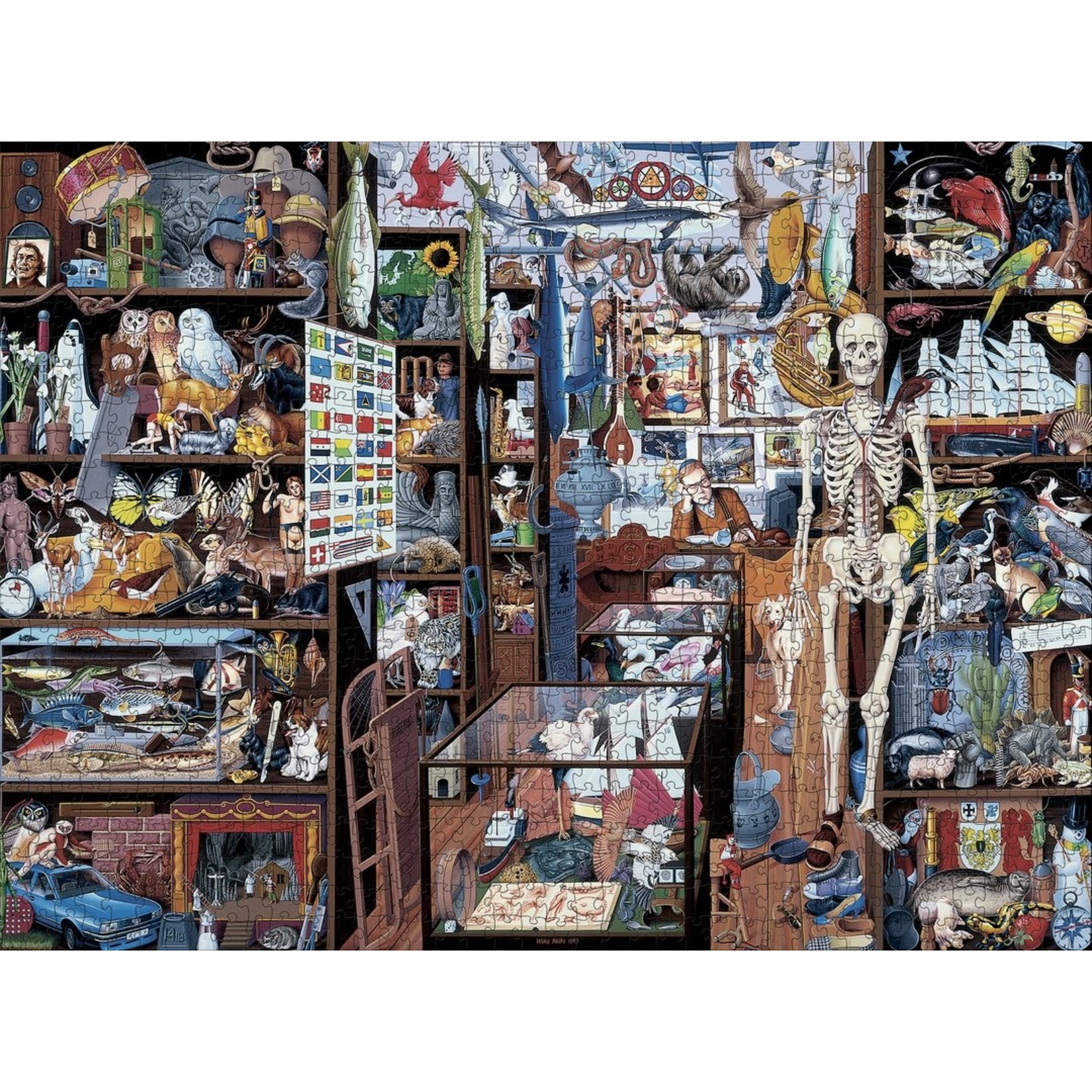 Mike Wilks: The Ultimate Alphabet: The Letter S 1000pc