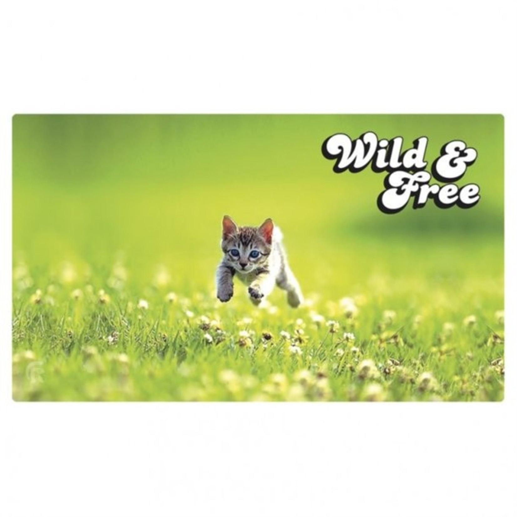 Legion Supplies Playmat: Kitten Wild & Free