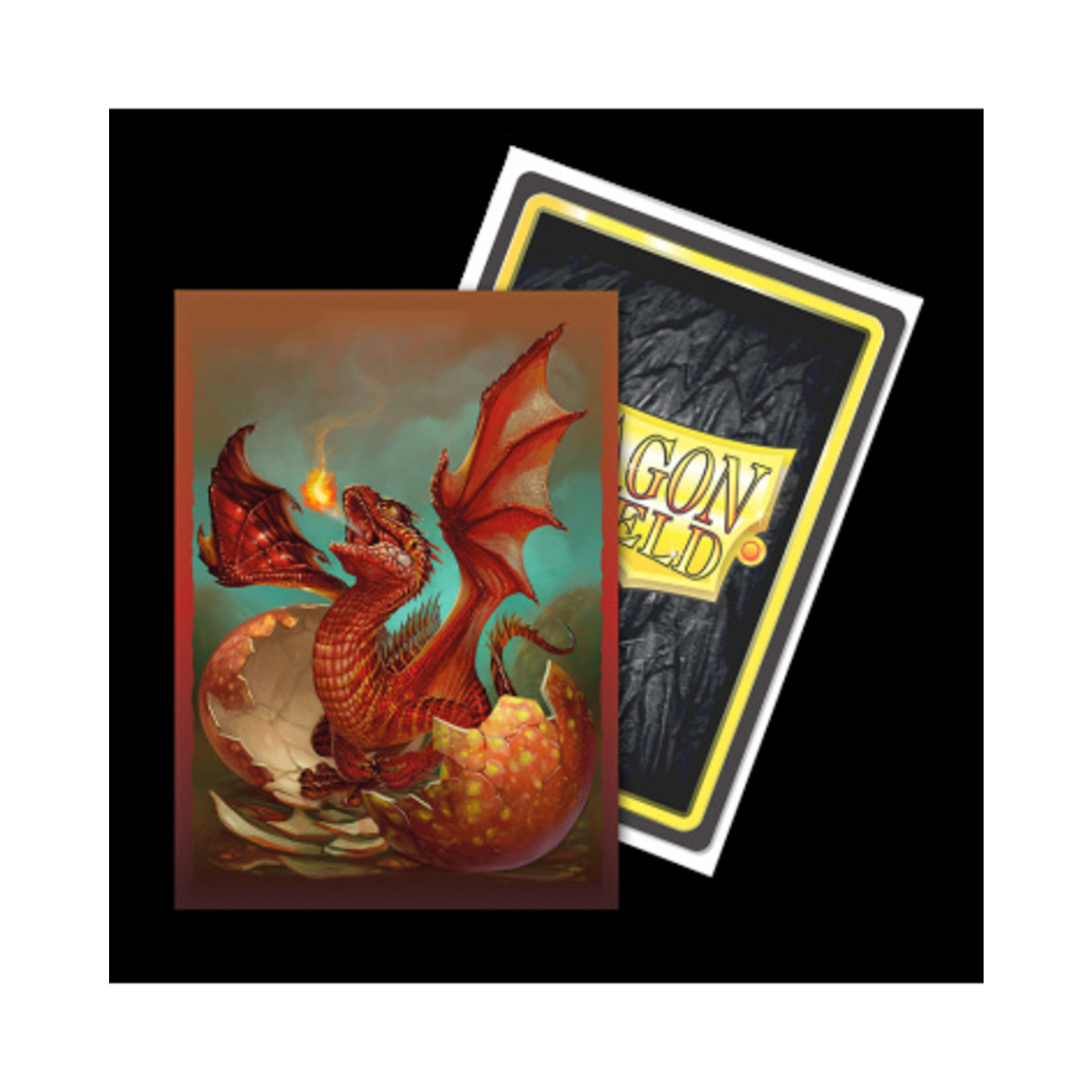 ARCANE TINMEN Dragon Shield: (100) Art Sparky