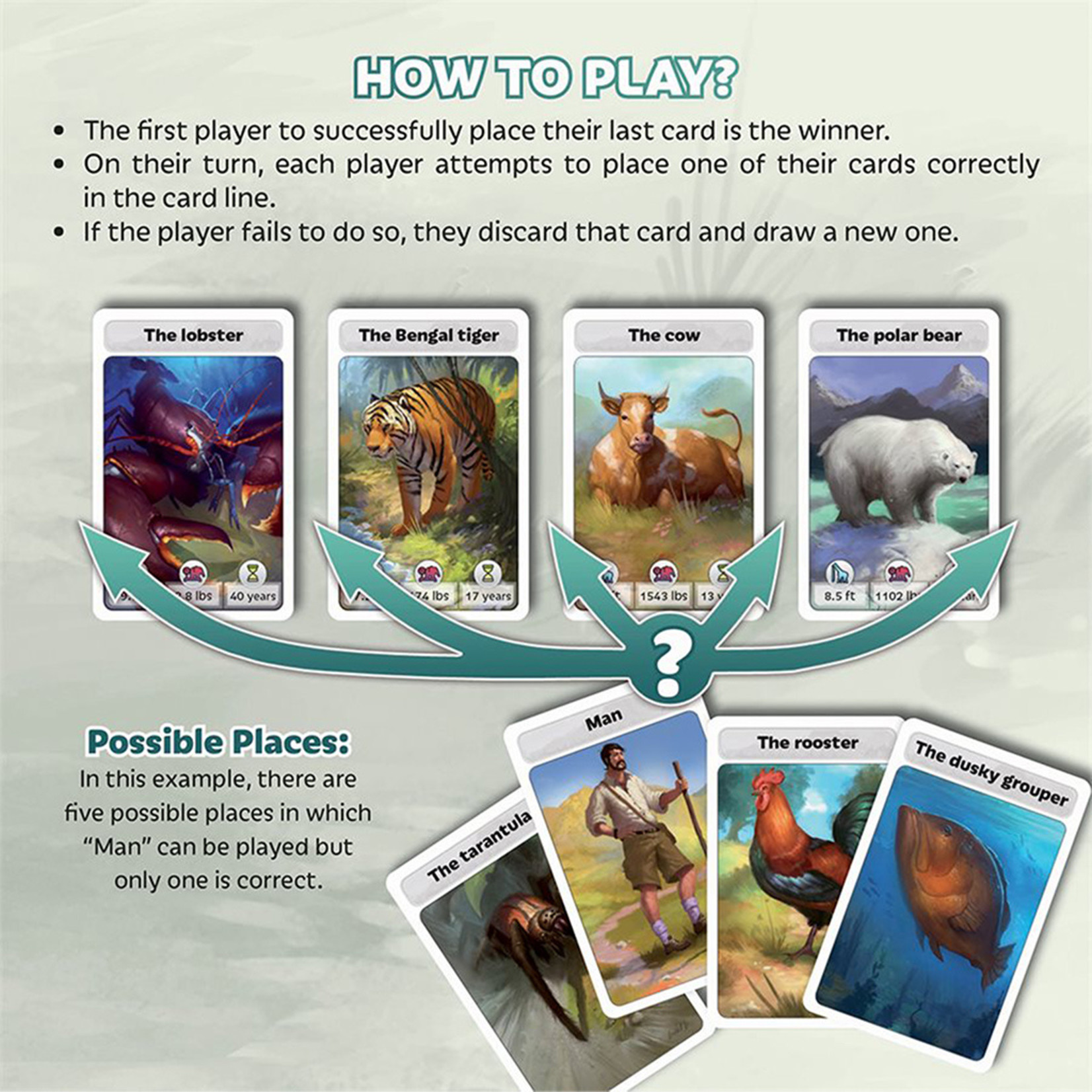 Asmodee Cardline Animals