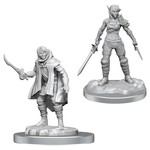 WizKids/Neca Nolzur's Elf Rogue & Half-Elf Rogue Protg